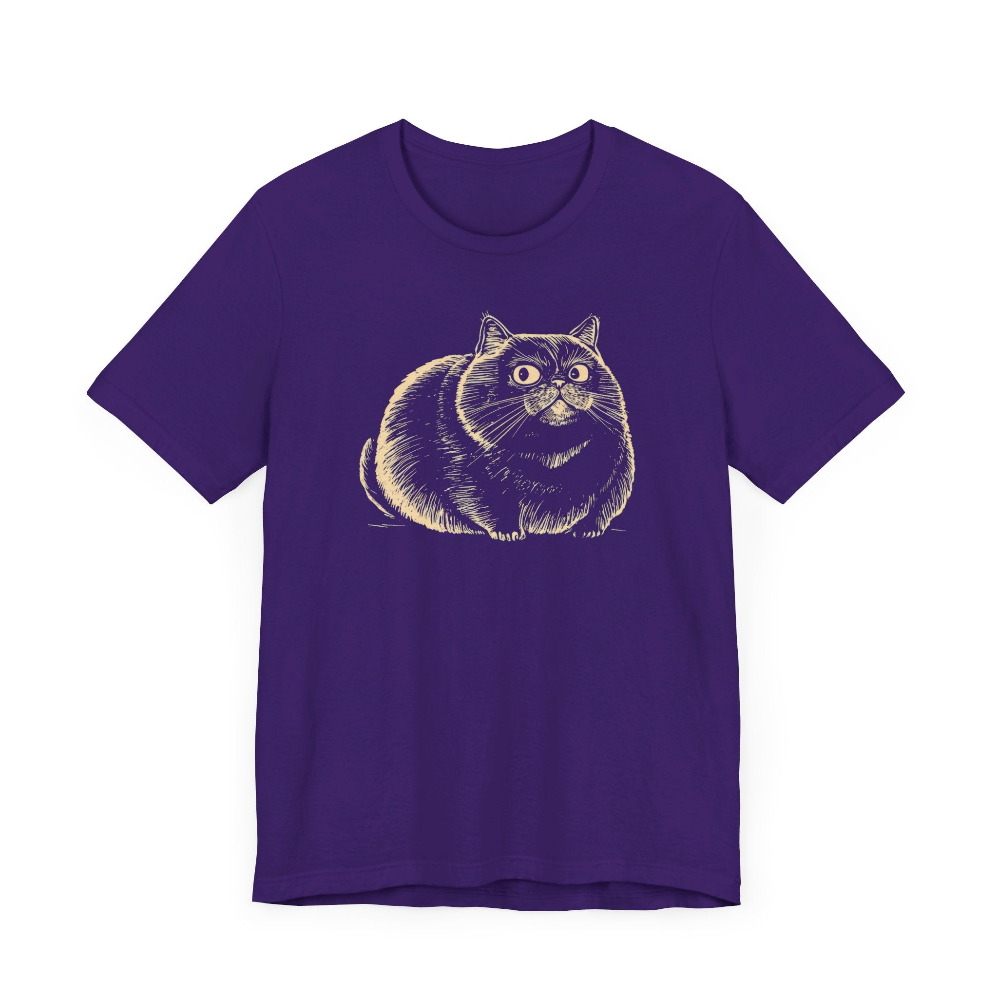 Chubby Cat Illustration T-Shirt