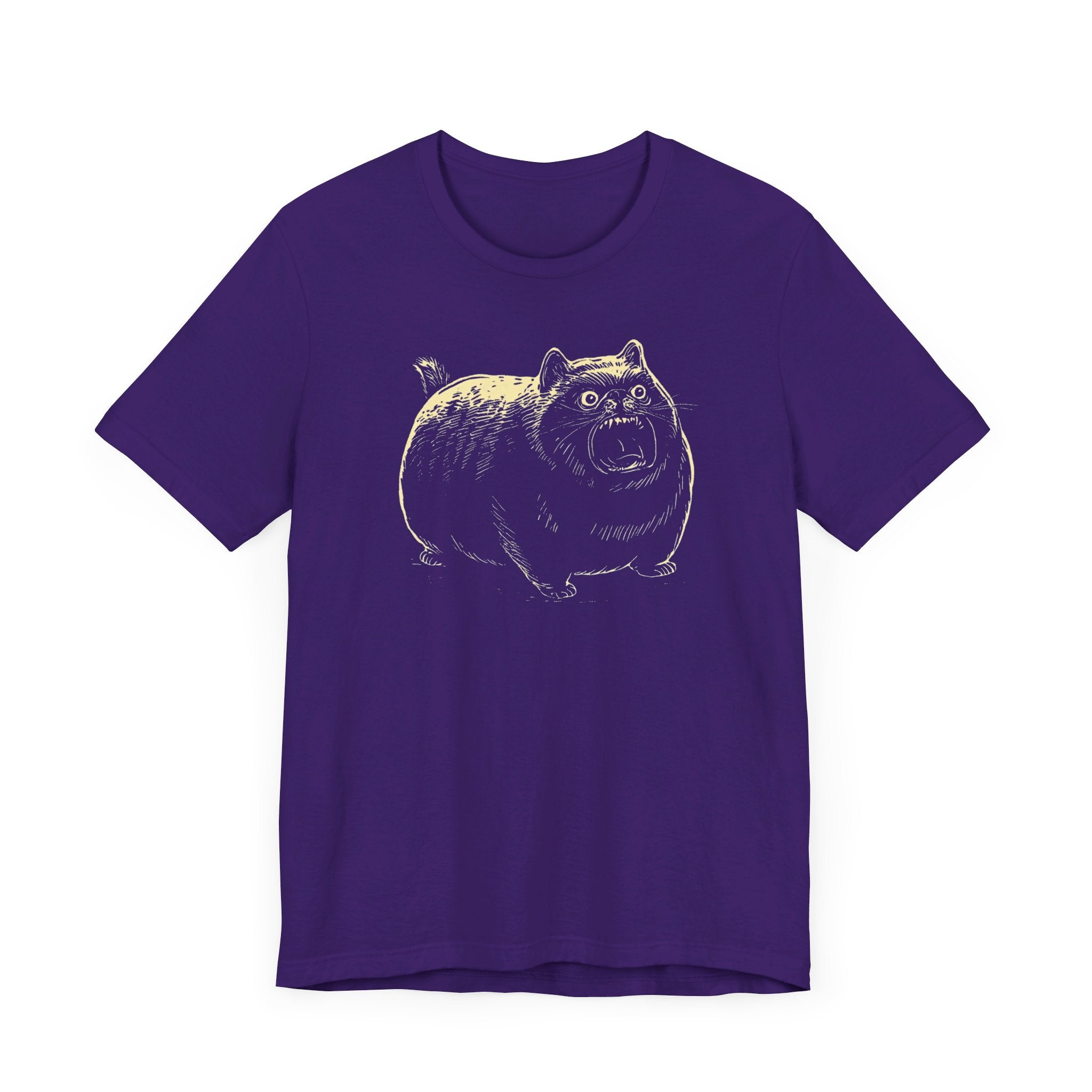 Angry Chubby Cat Graphic T-Shirt