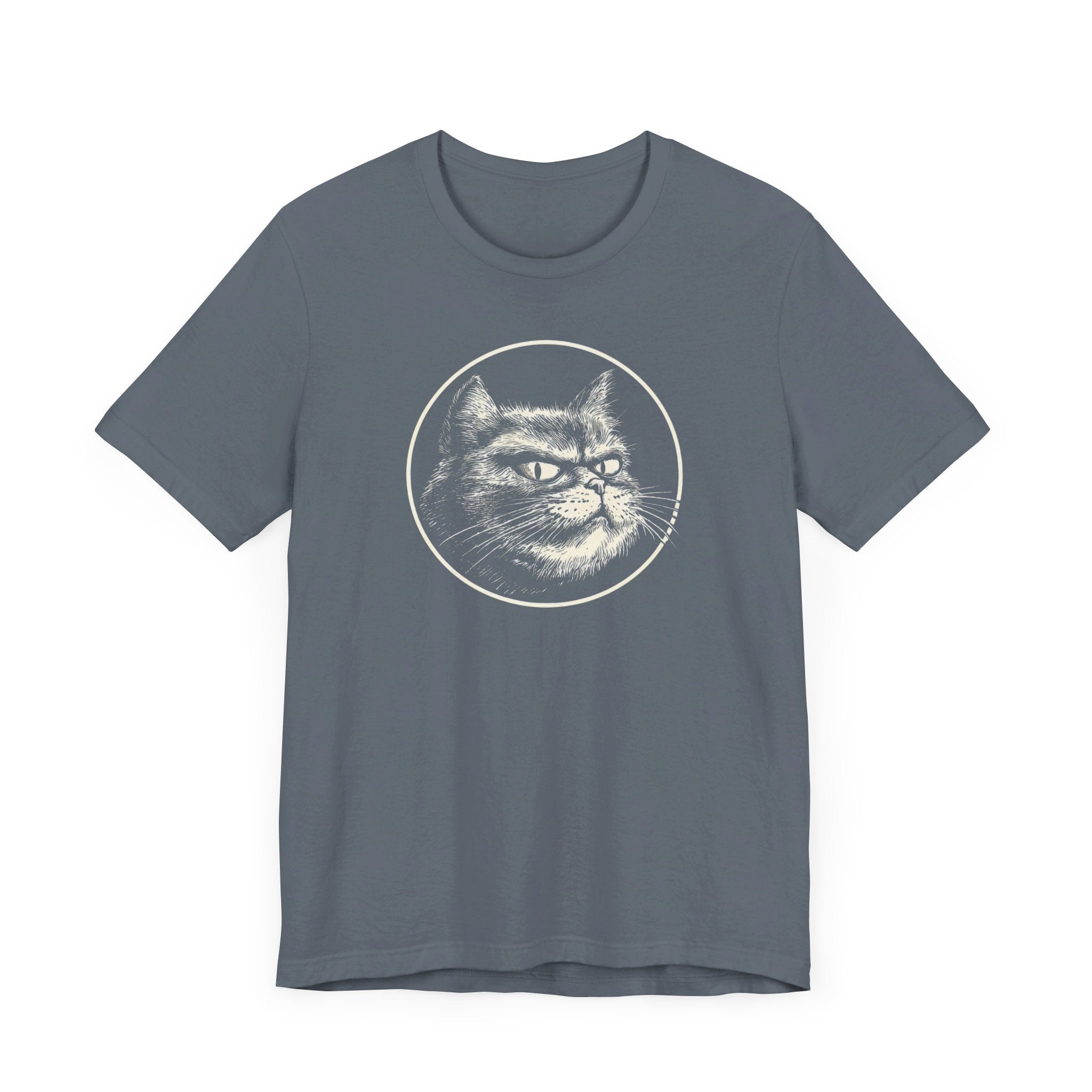 Grumpy Cat Graphic Tee – Vintage Style Cat Lover Shirt
