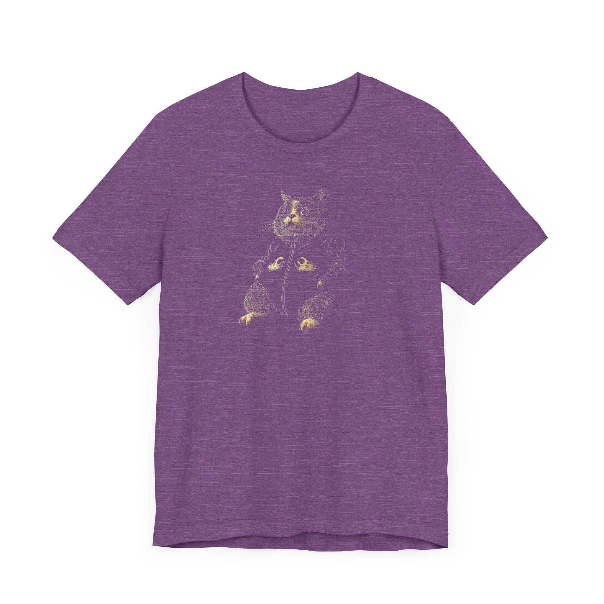Chubby Cat Hoodie Graphic T-Shirt