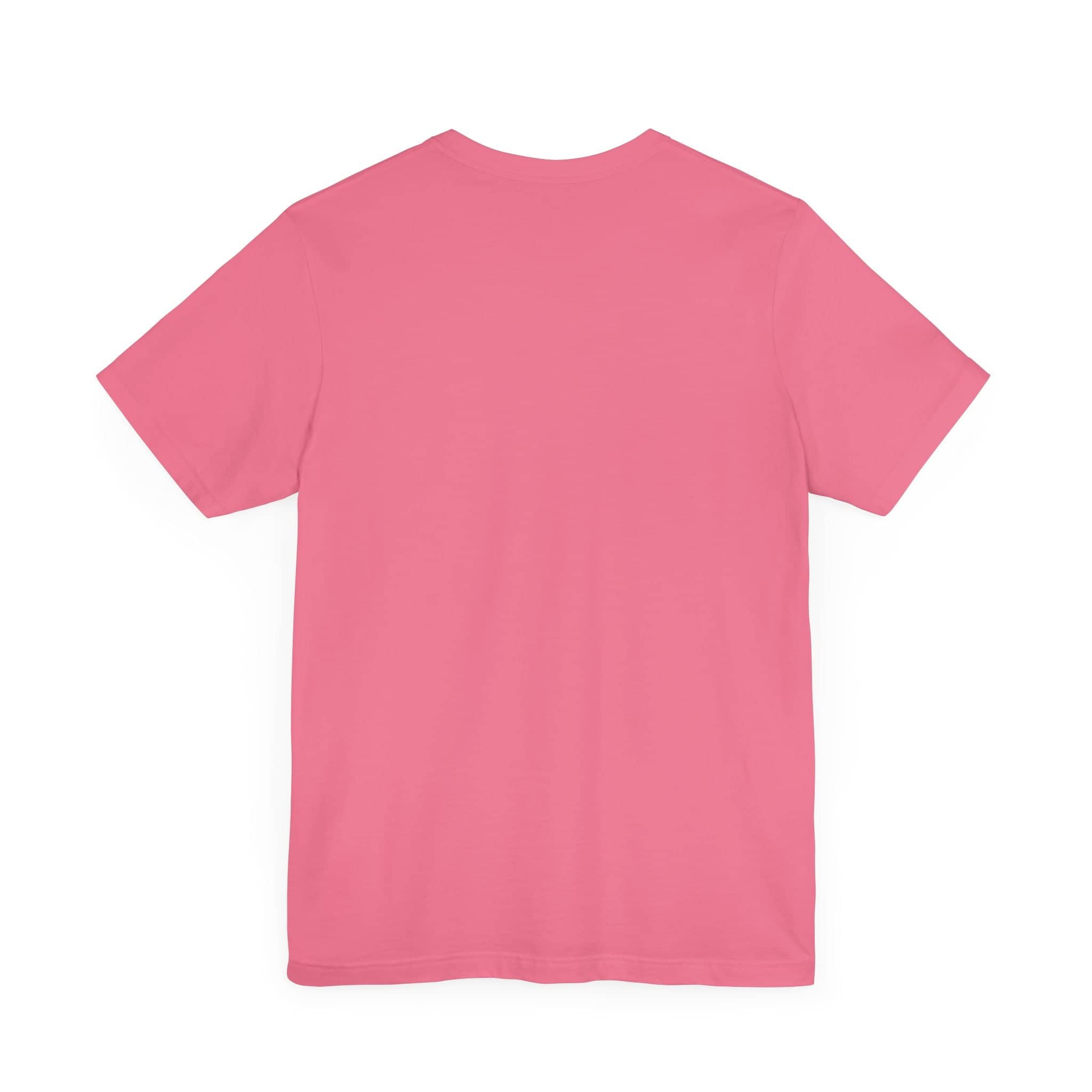 Don't be Giving Your Cats Chocolate Ice Cream T-Shirt