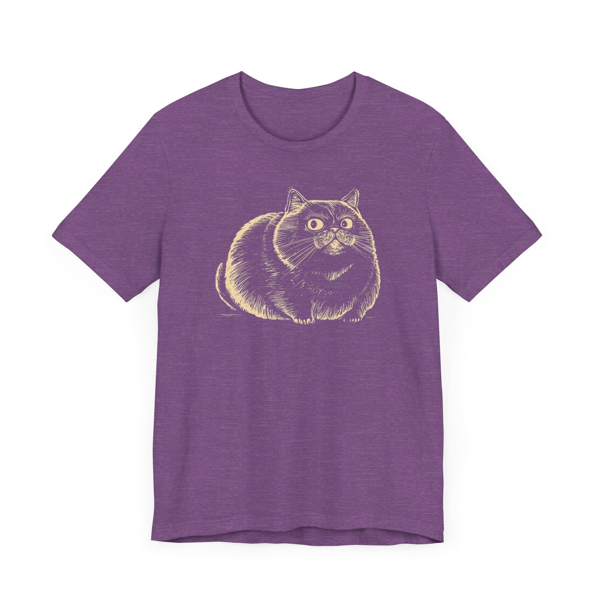 Chubby Cat Illustration T-Shirt