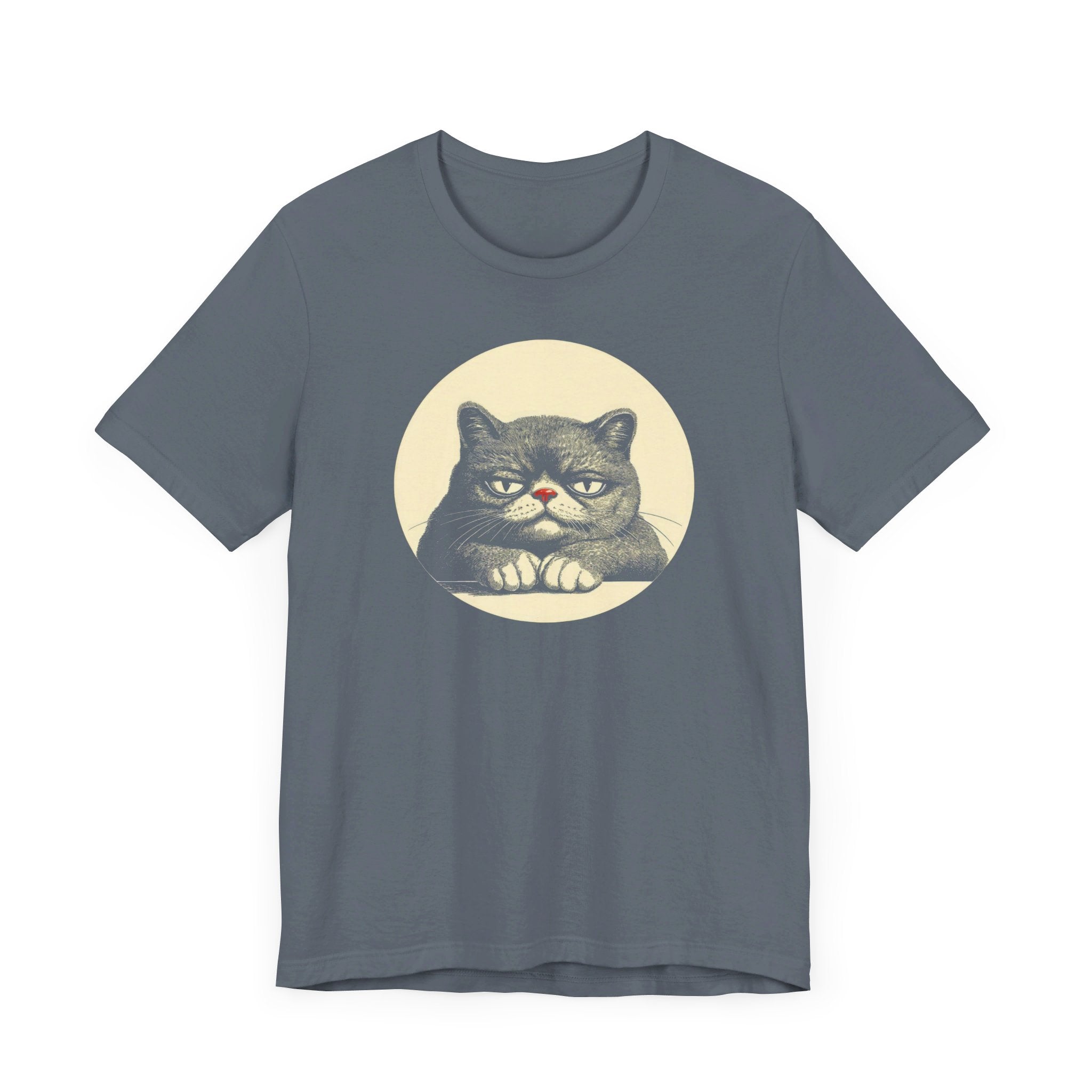 Grumpy Cat Graphic Tee – Vintage Style Cat Lover Shirt