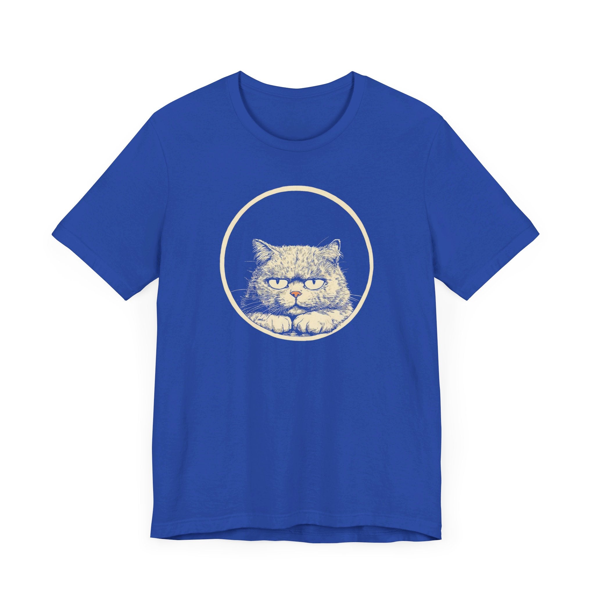 Grumpy Persian Cat Graphic Tee – Vintage Style Cat Lover Shirt