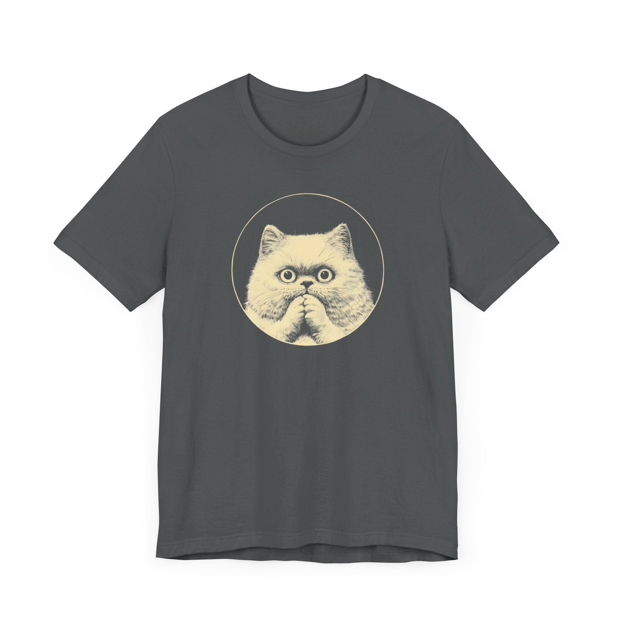 Surprised Persian Cat Graphic Tee – Vintage Style Cat Lover Shirt