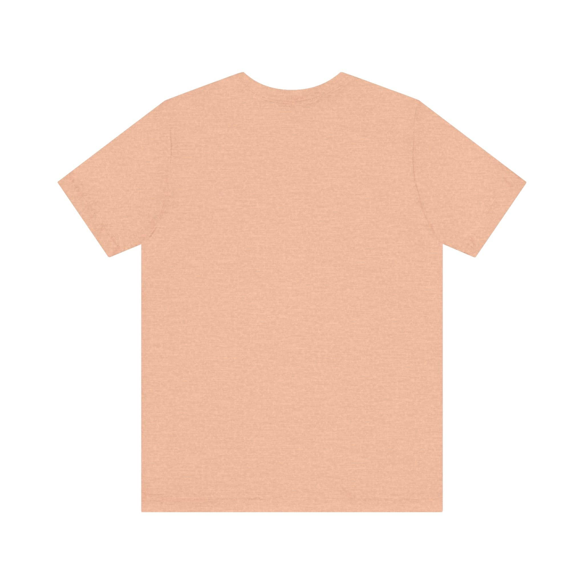 Don't be Giving Your Cats Chocolate Ice Cream T-Shirt