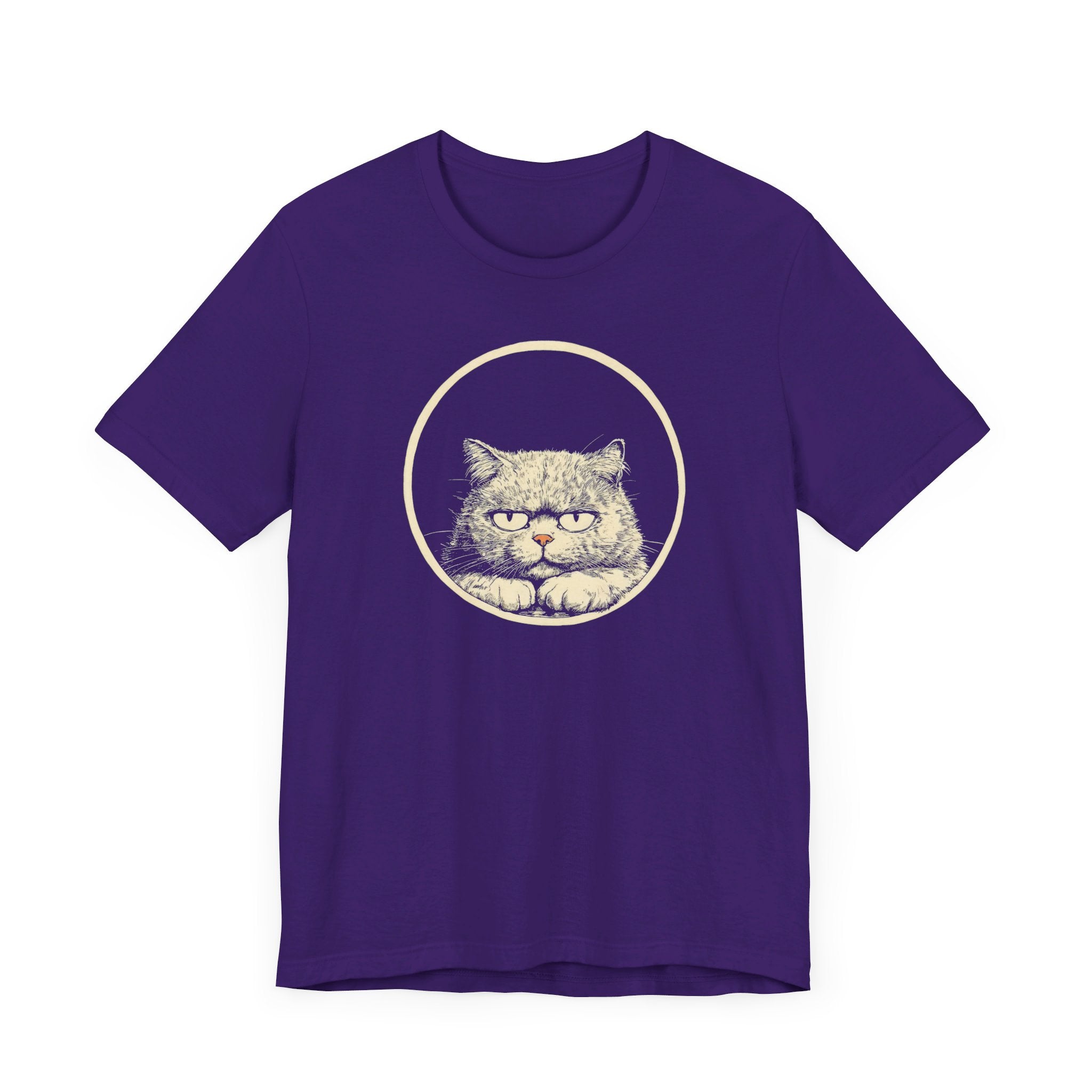 Grumpy Persian Cat Graphic Tee – Vintage Style Cat Lover Shirt