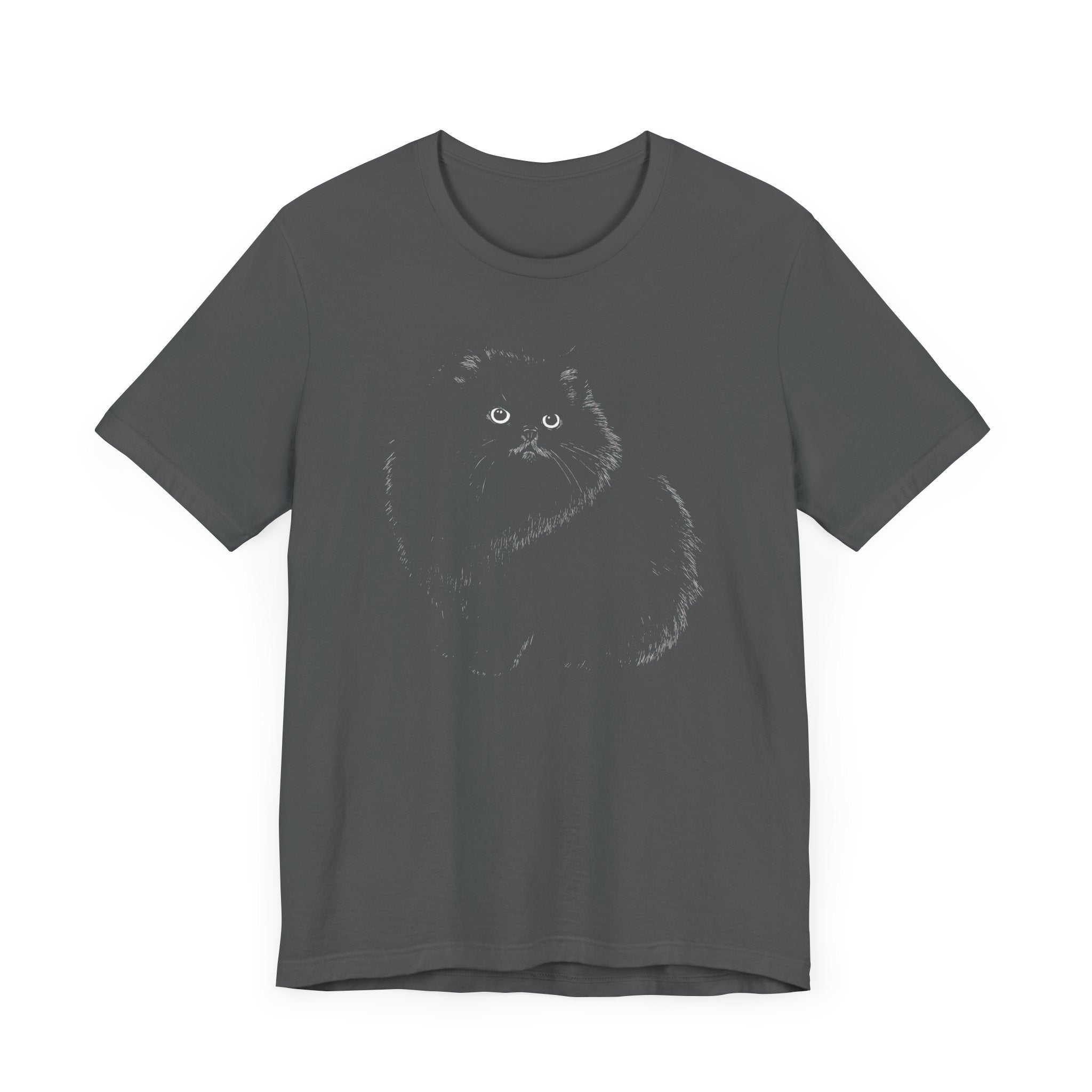 Fluffy Black Cat Graphic Tee