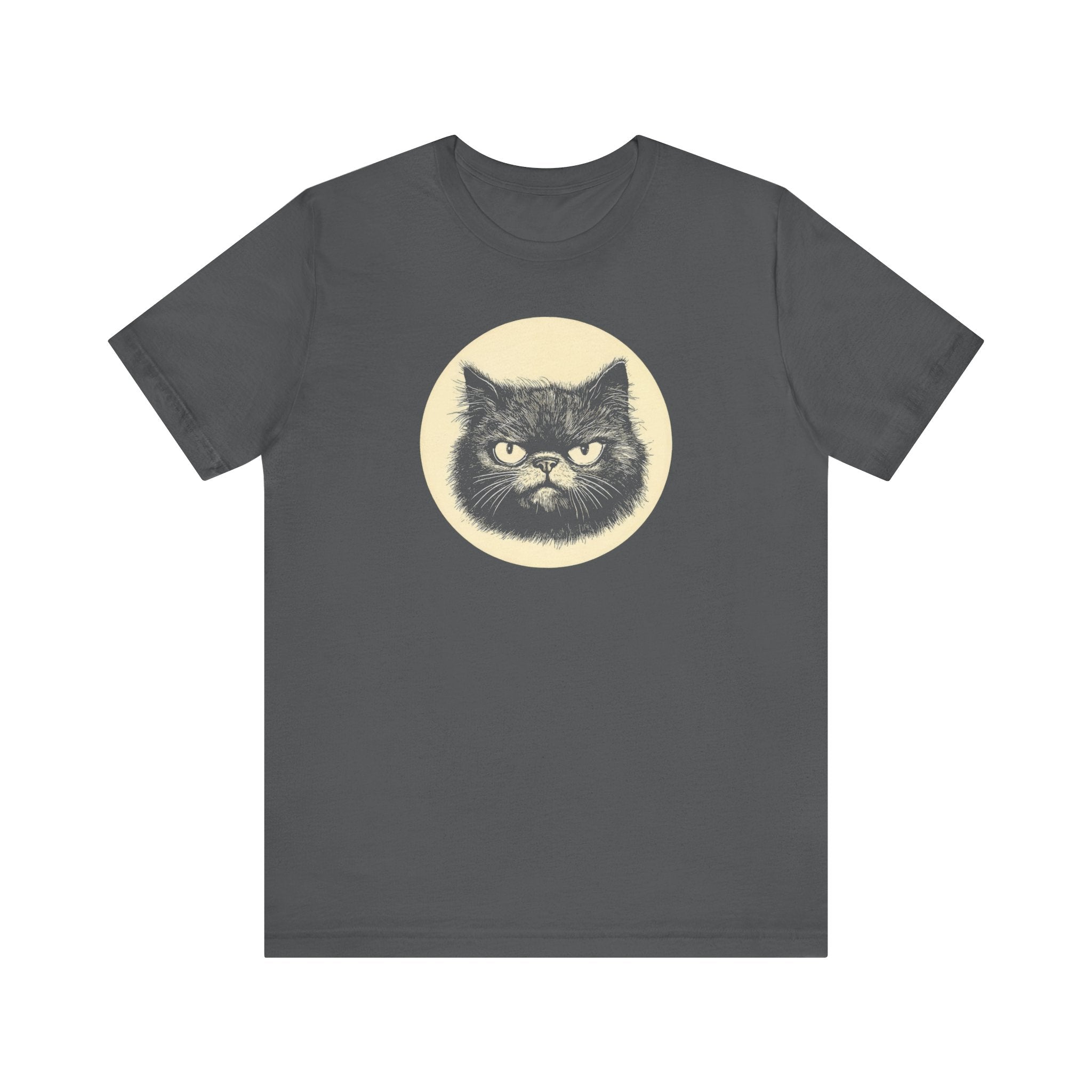 Grumpy Black Cat Graphic Tee – Vintage Style Cat Lover Shirt