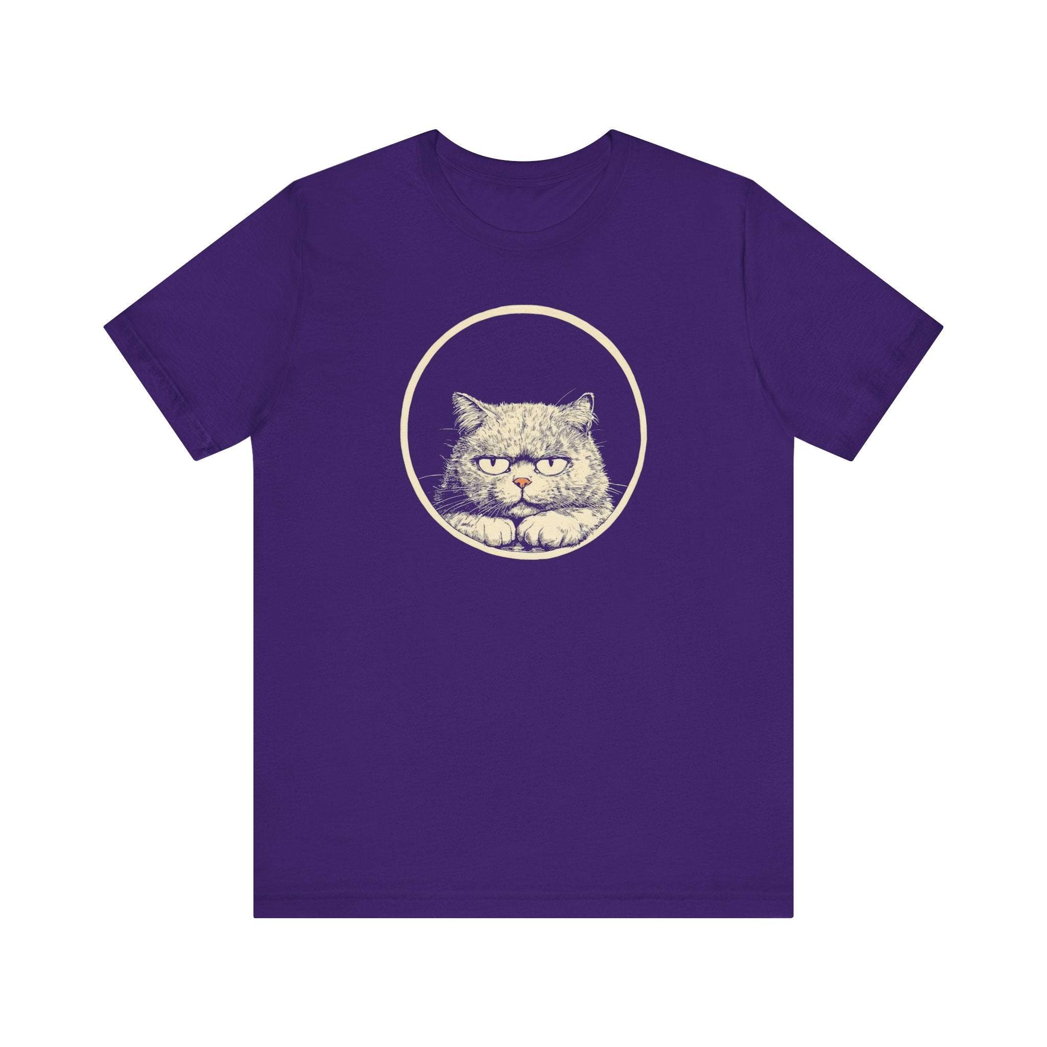 Grumpy Persian Cat Graphic Tee – Vintage Style Cat Lover Shirt