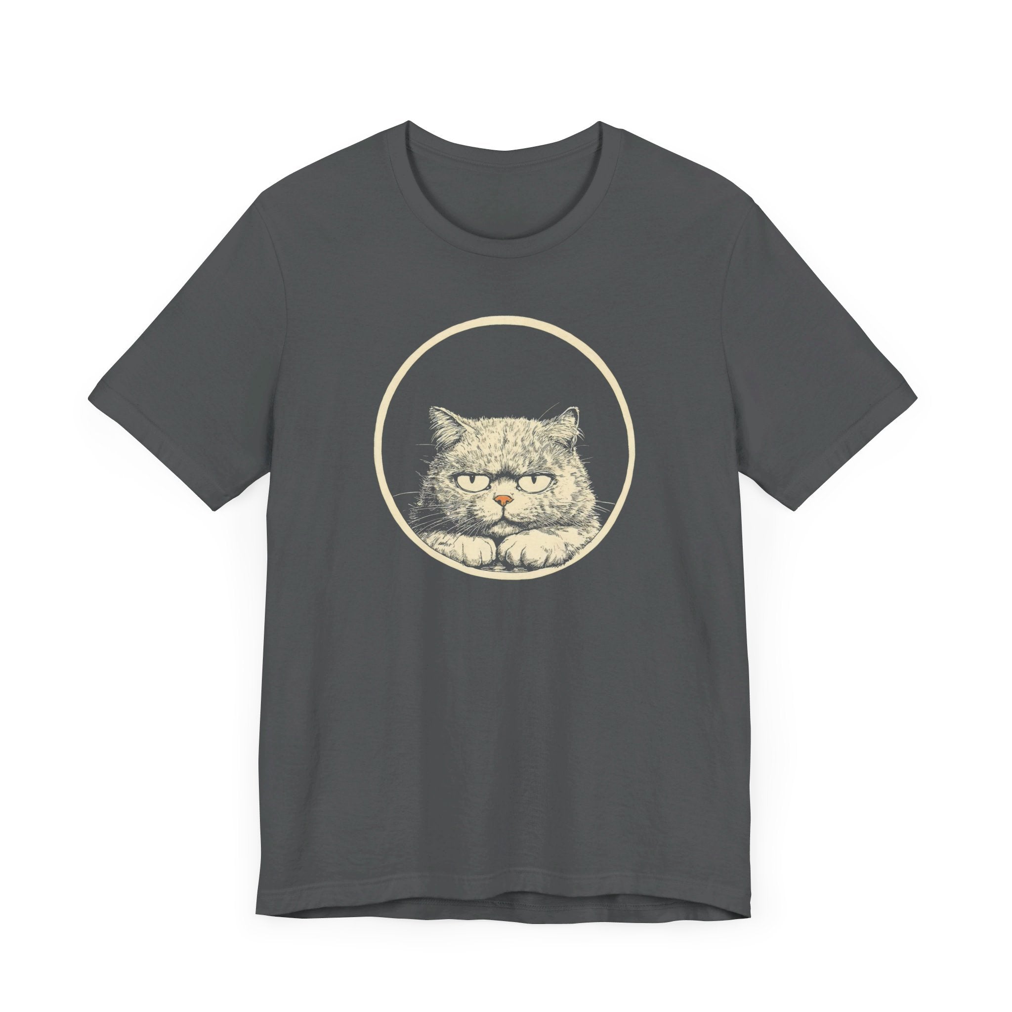 Grumpy Persian Cat Graphic Tee – Vintage Style Cat Lover Shirt