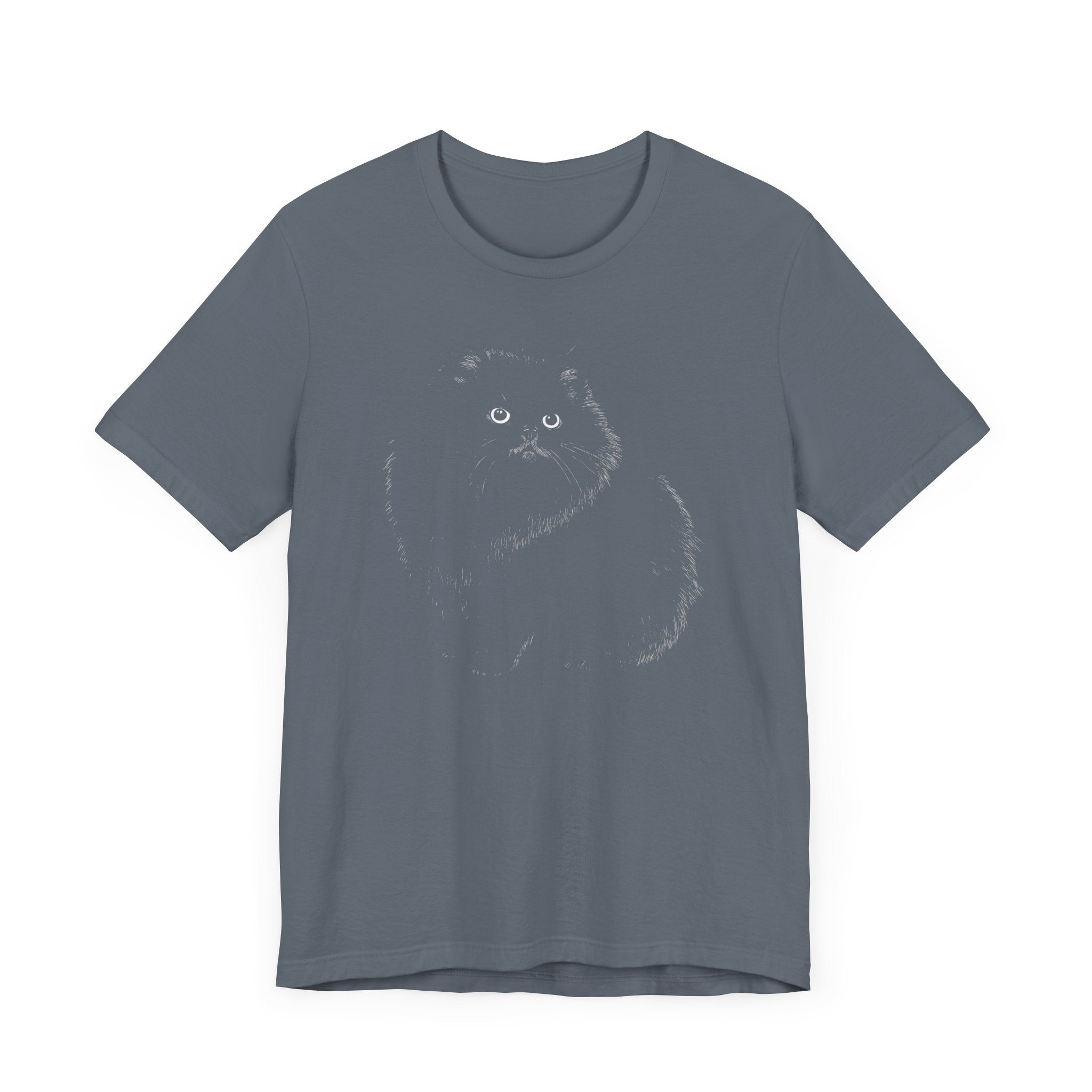Fluffy Black Cat Graphic Tee