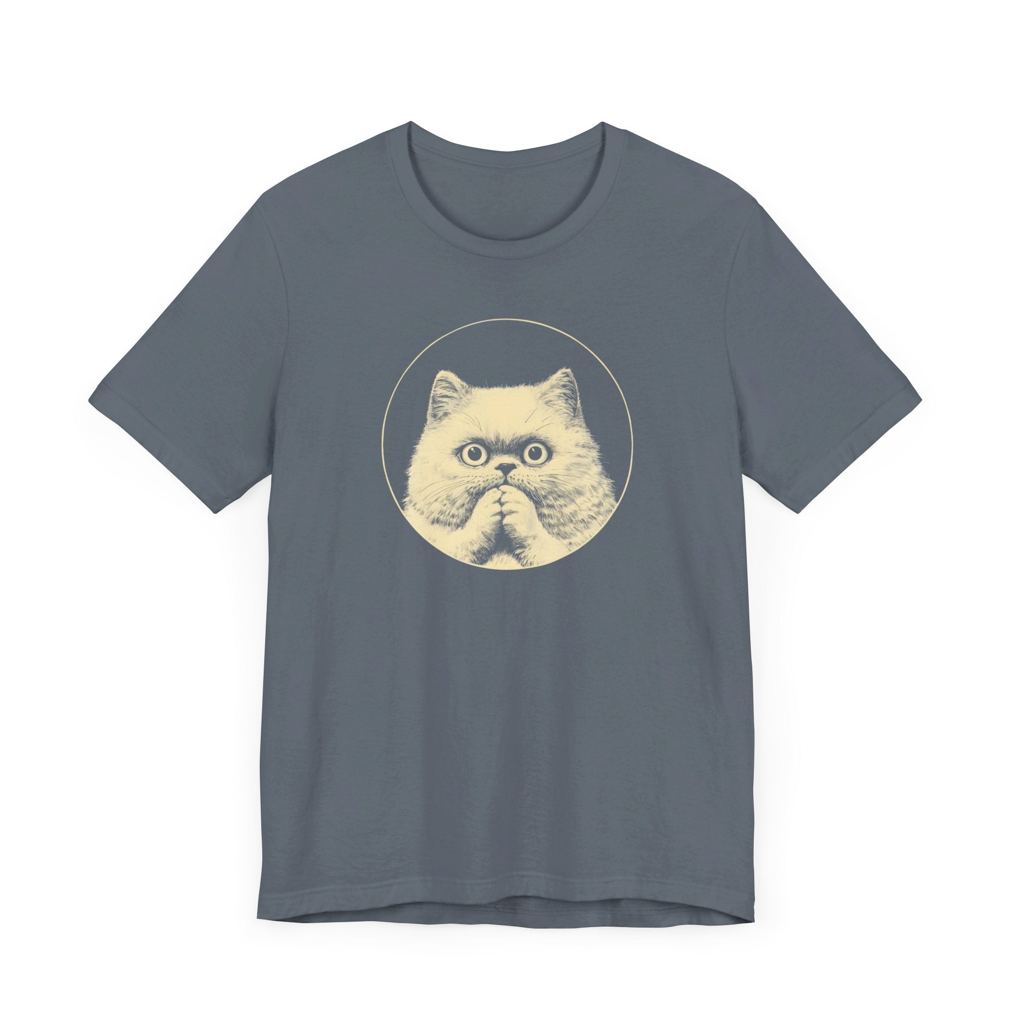 Surprised Persian Cat Graphic Tee – Vintage Style Cat Lover Shirt