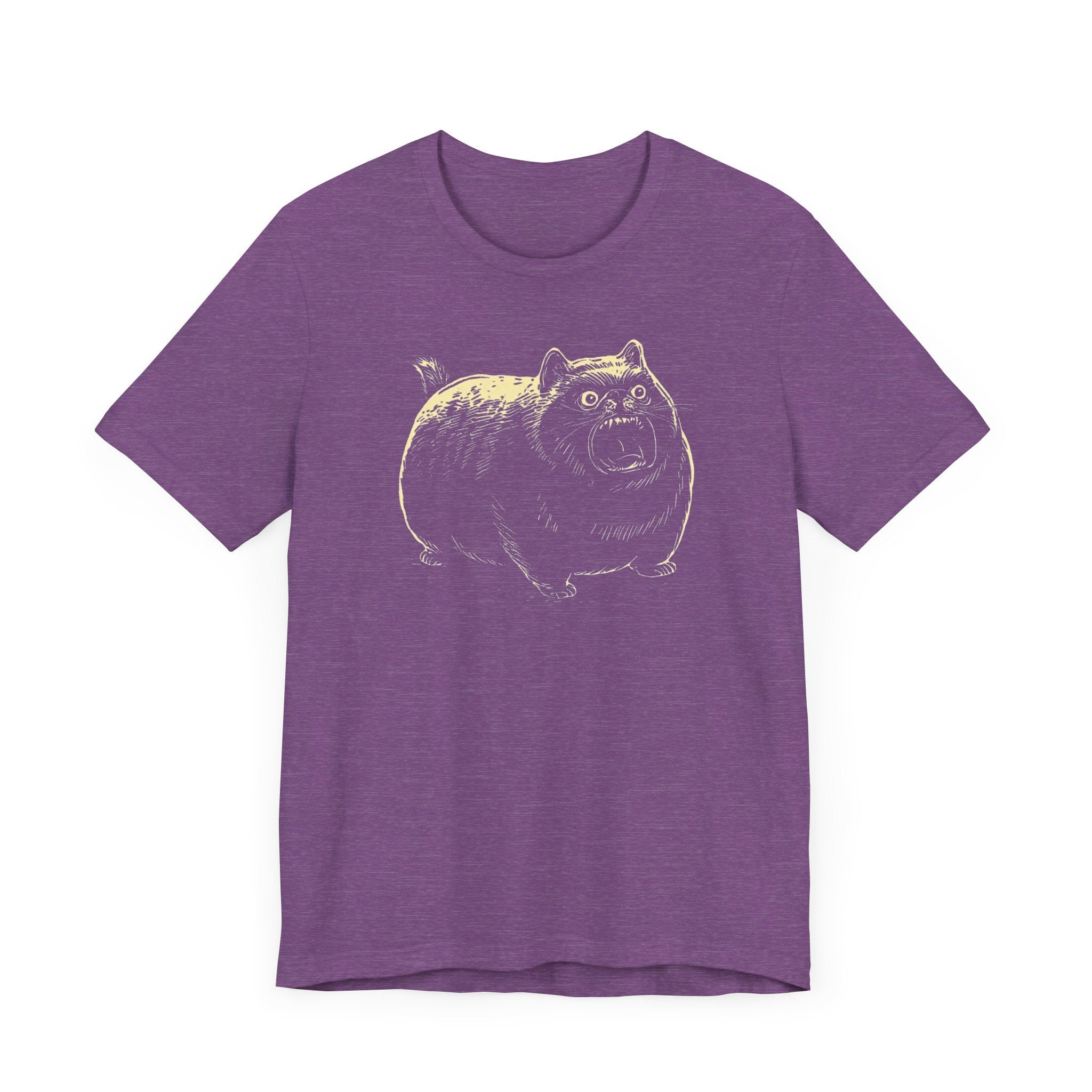 Angry Chubby Cat Graphic T-Shirt