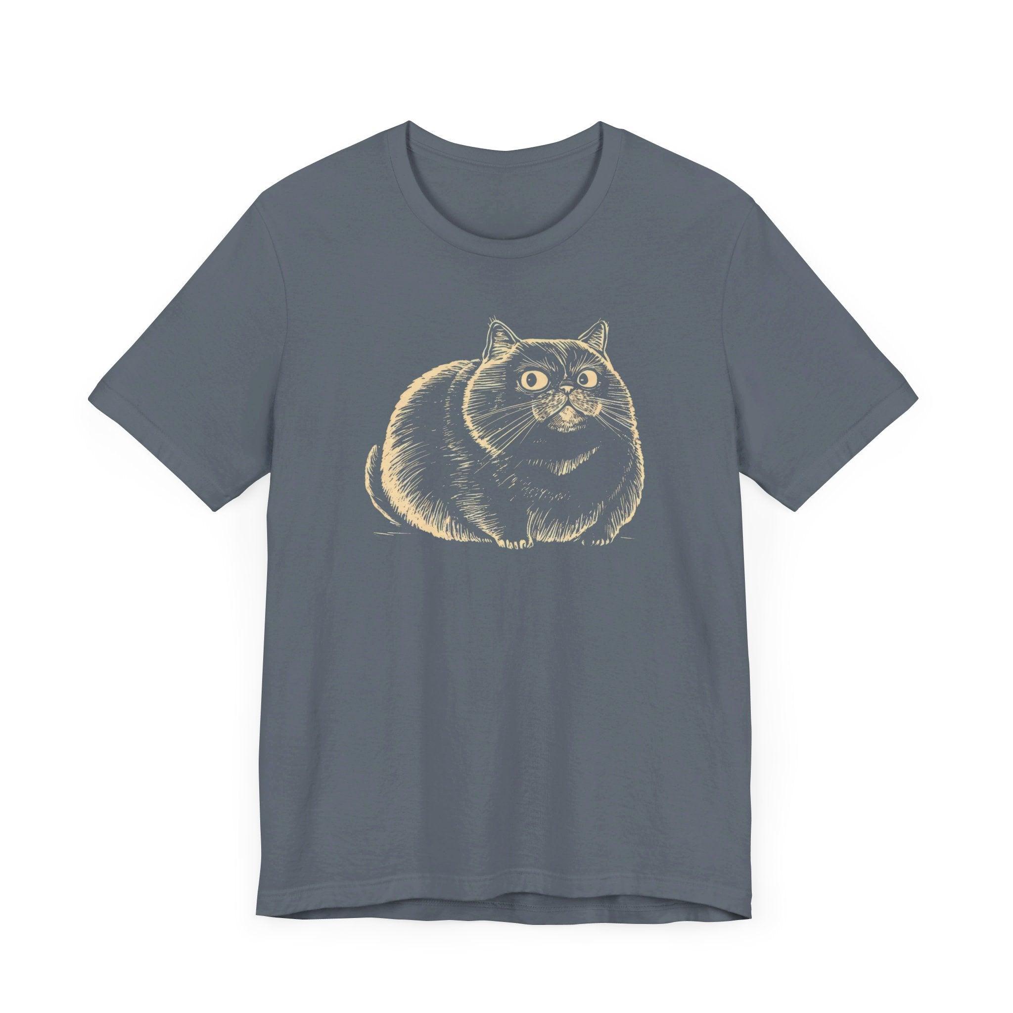Chubby Cat Illustration T-Shirt