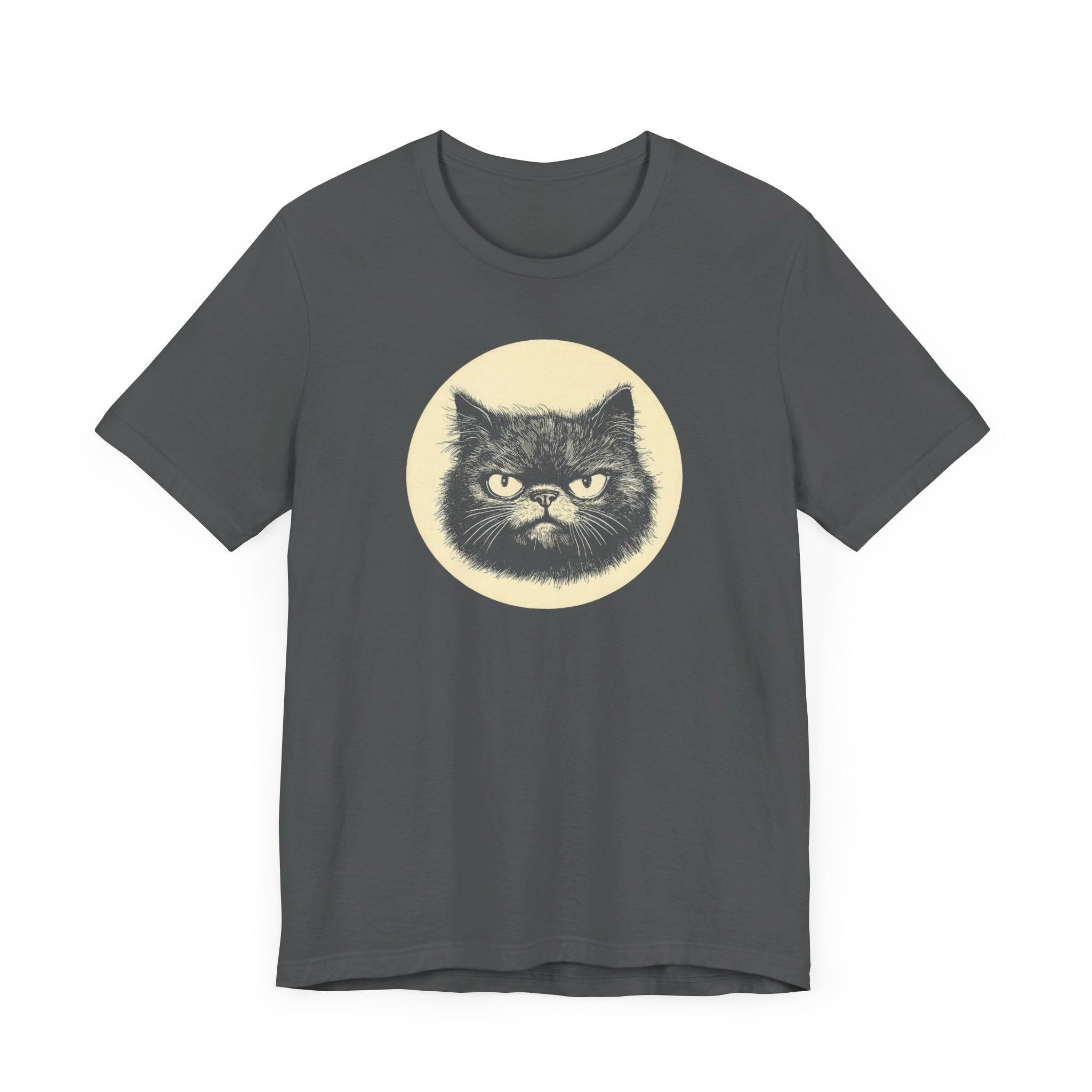 Grumpy Black Cat Graphic Tee – Vintage Style Cat Lover Shirt