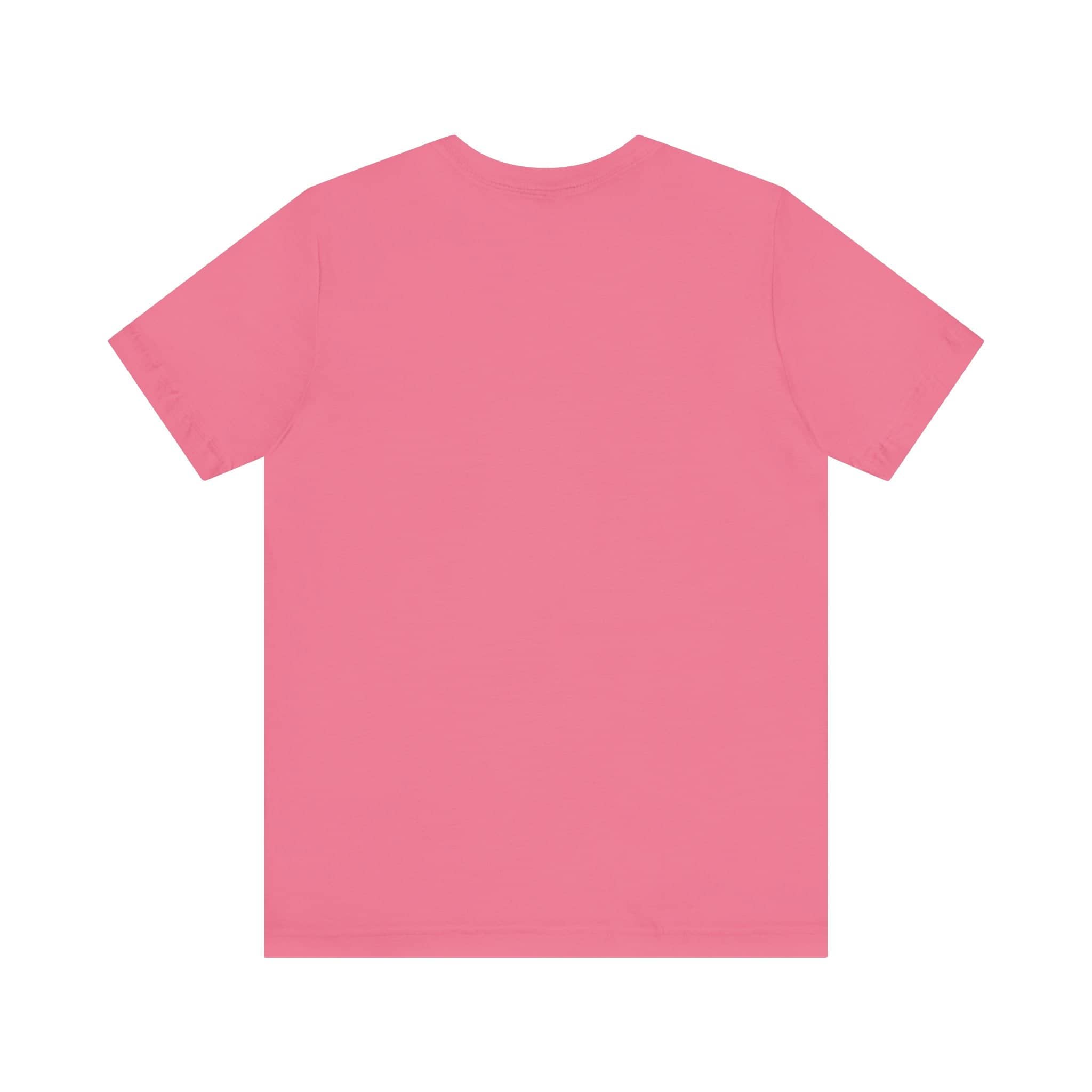 Don't be Giving Your Cats Chocolate Ice Cream T-Shirt