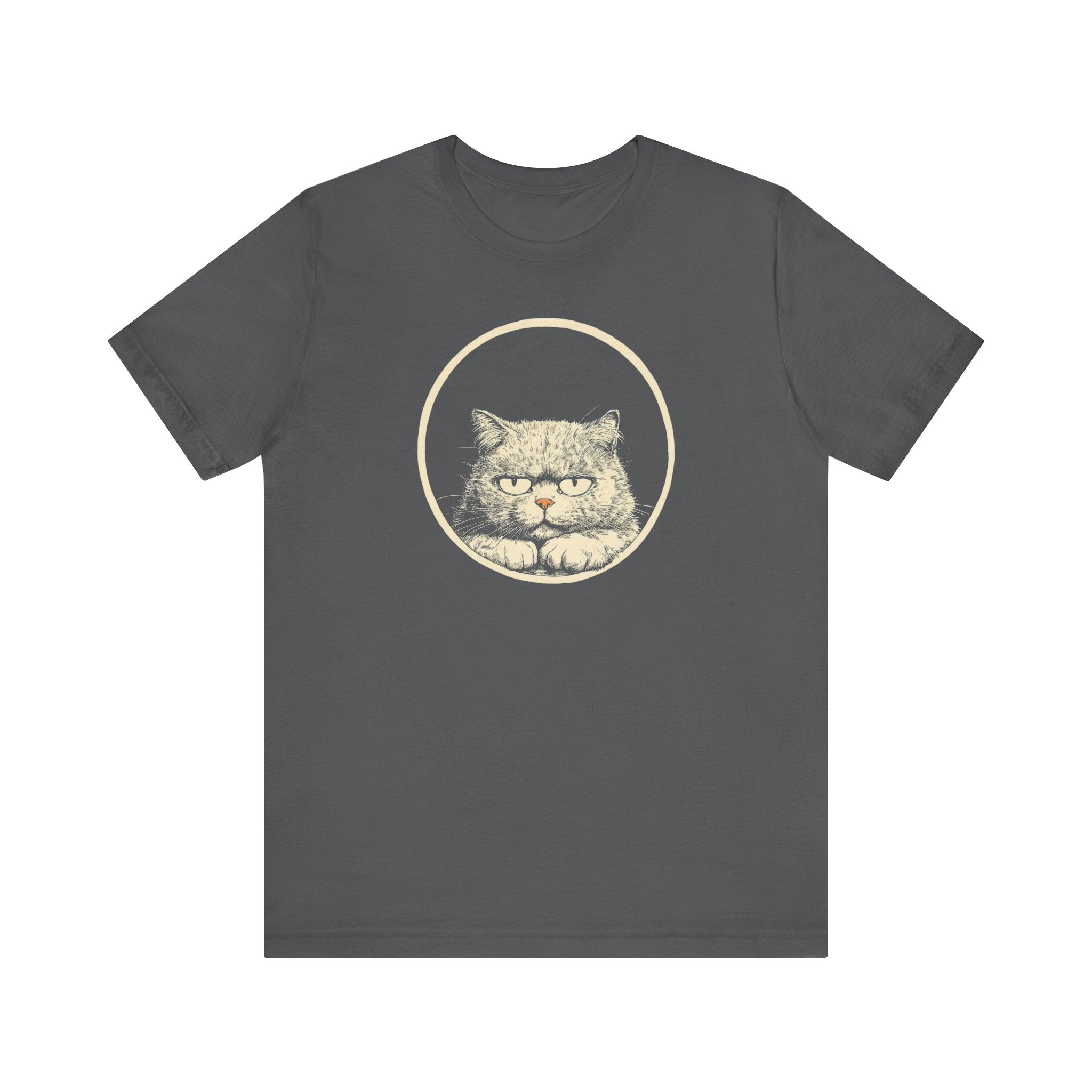 Grumpy Persian Cat Graphic Tee – Vintage Style Cat Lover Shirt