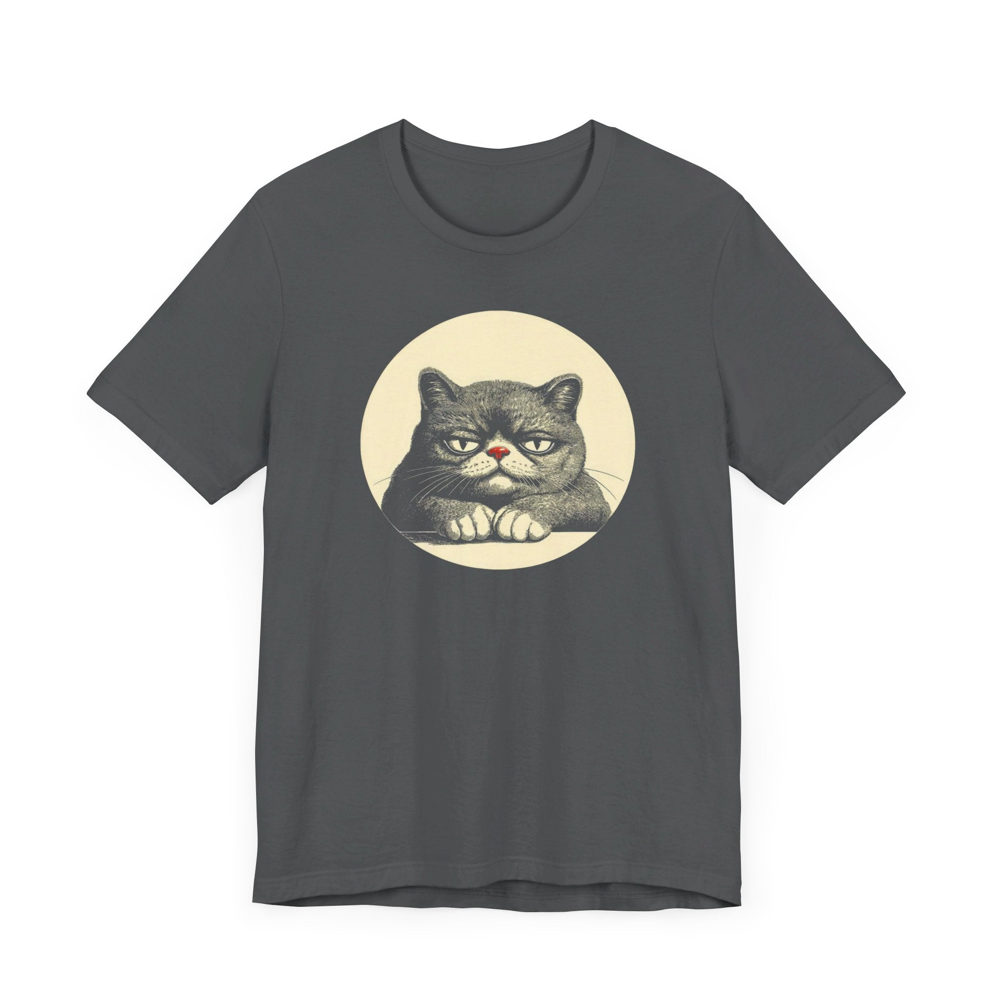 Grumpy Cat Graphic Tee – Vintage Style Cat Lover Shirt