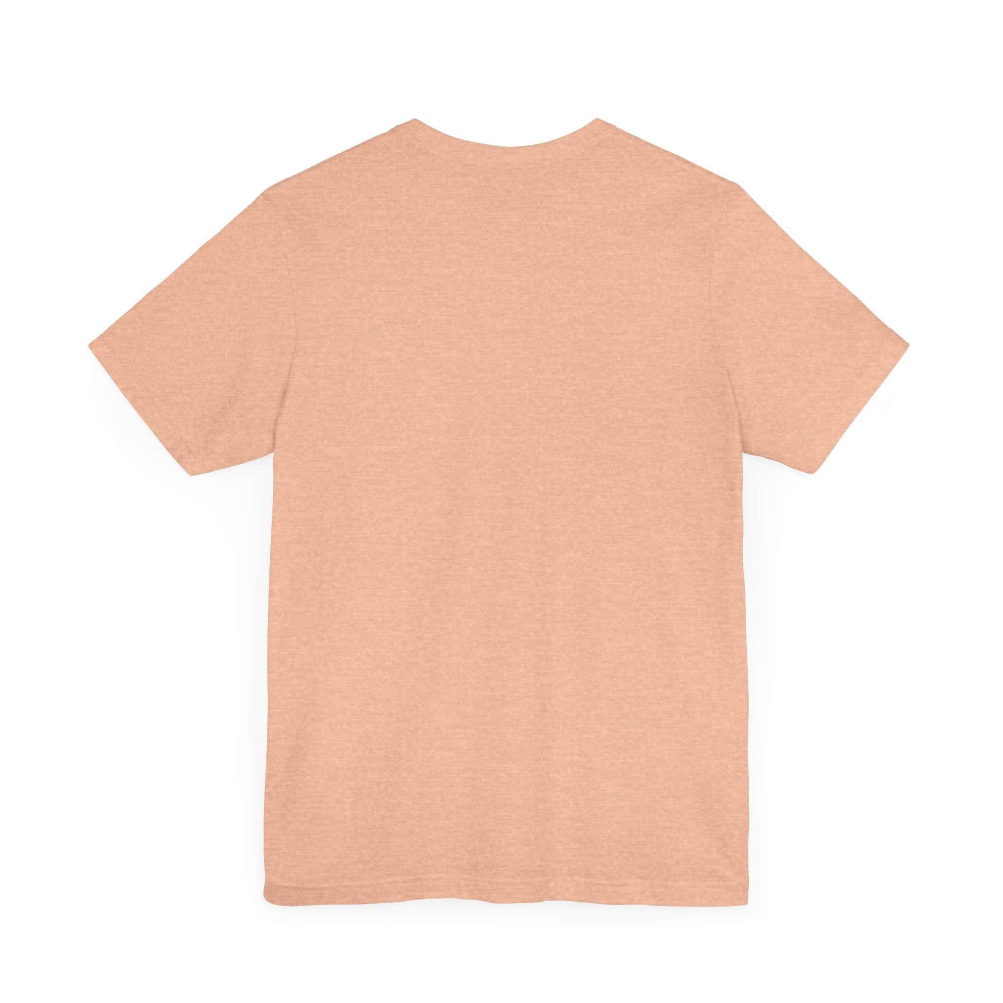 Don't be Giving Your Cats Chocolate Ice Cream T-Shirt