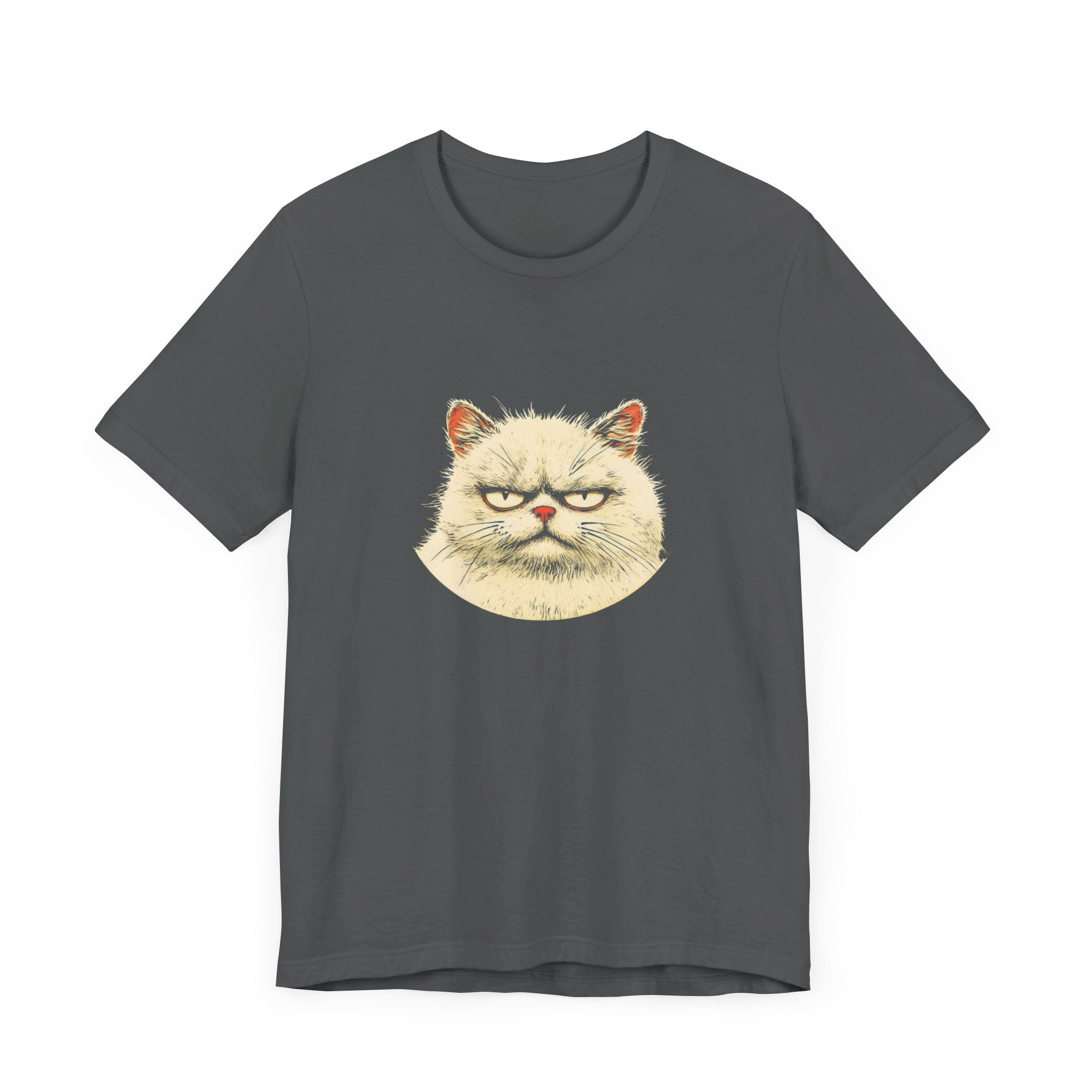 Grumpy Persian Cat Graphic Tee – Vintage Style Cat Lover Shirt