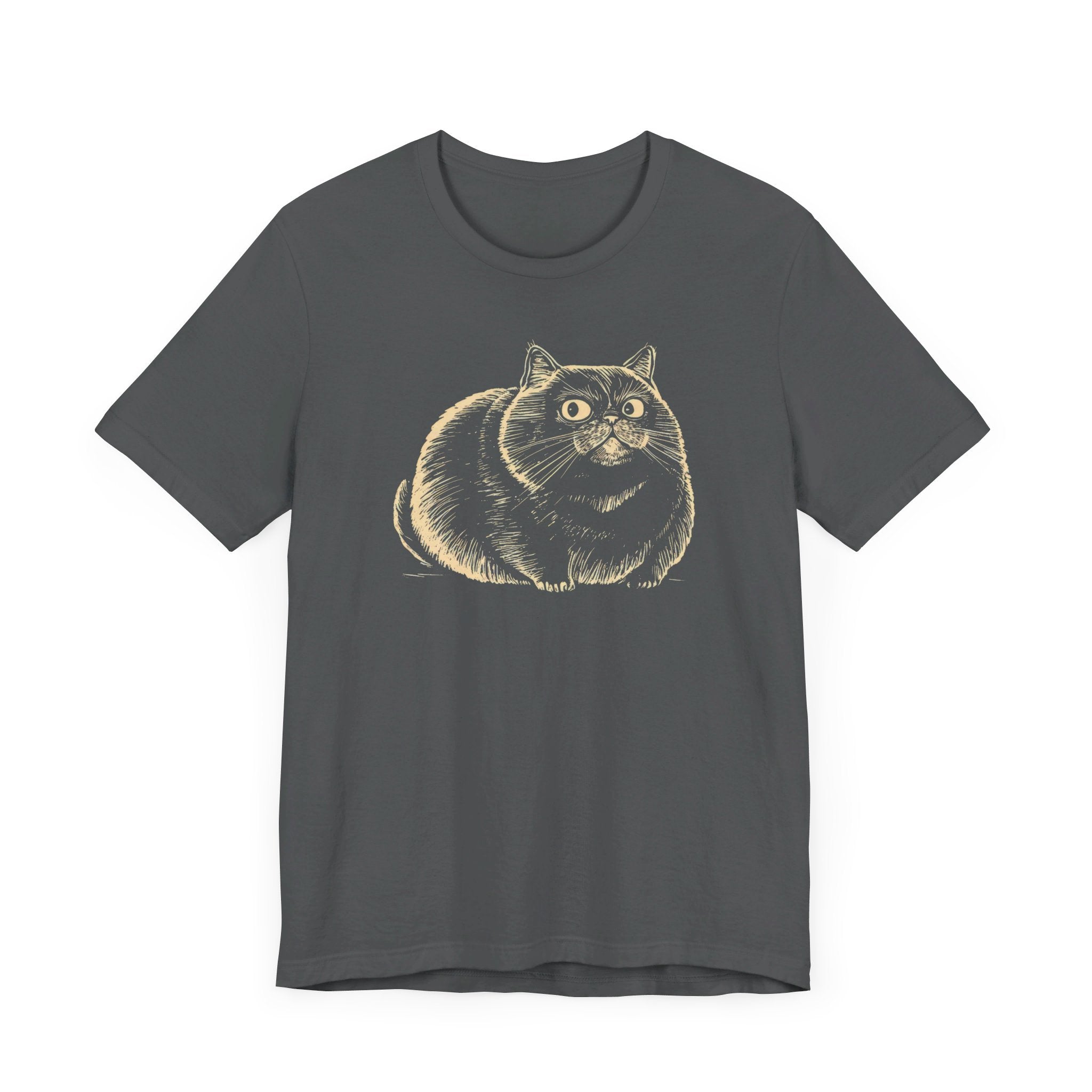 Chubby Cat Illustration T-Shirt