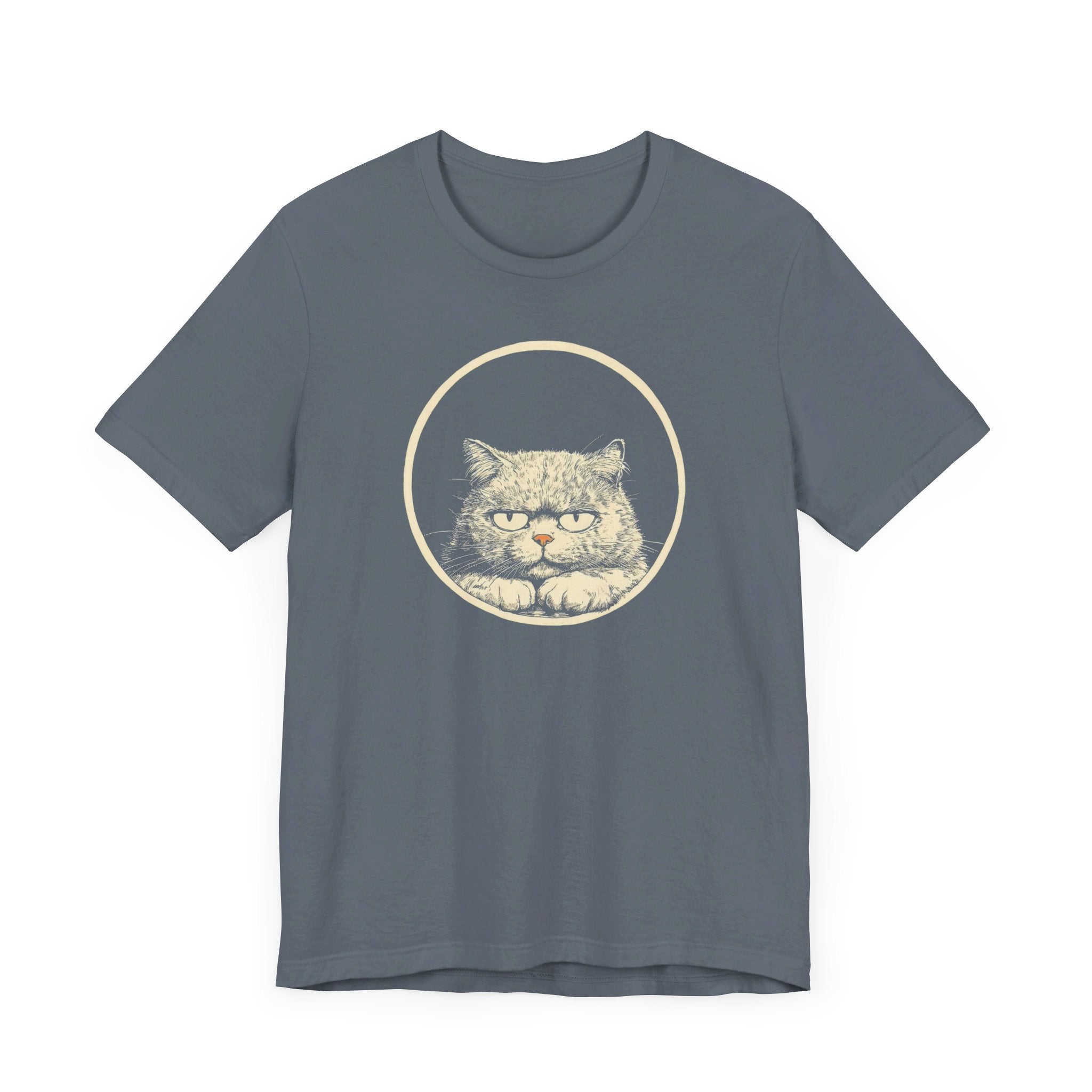 Grumpy Persian Cat Graphic Tee – Vintage Style Cat Lover Shirt