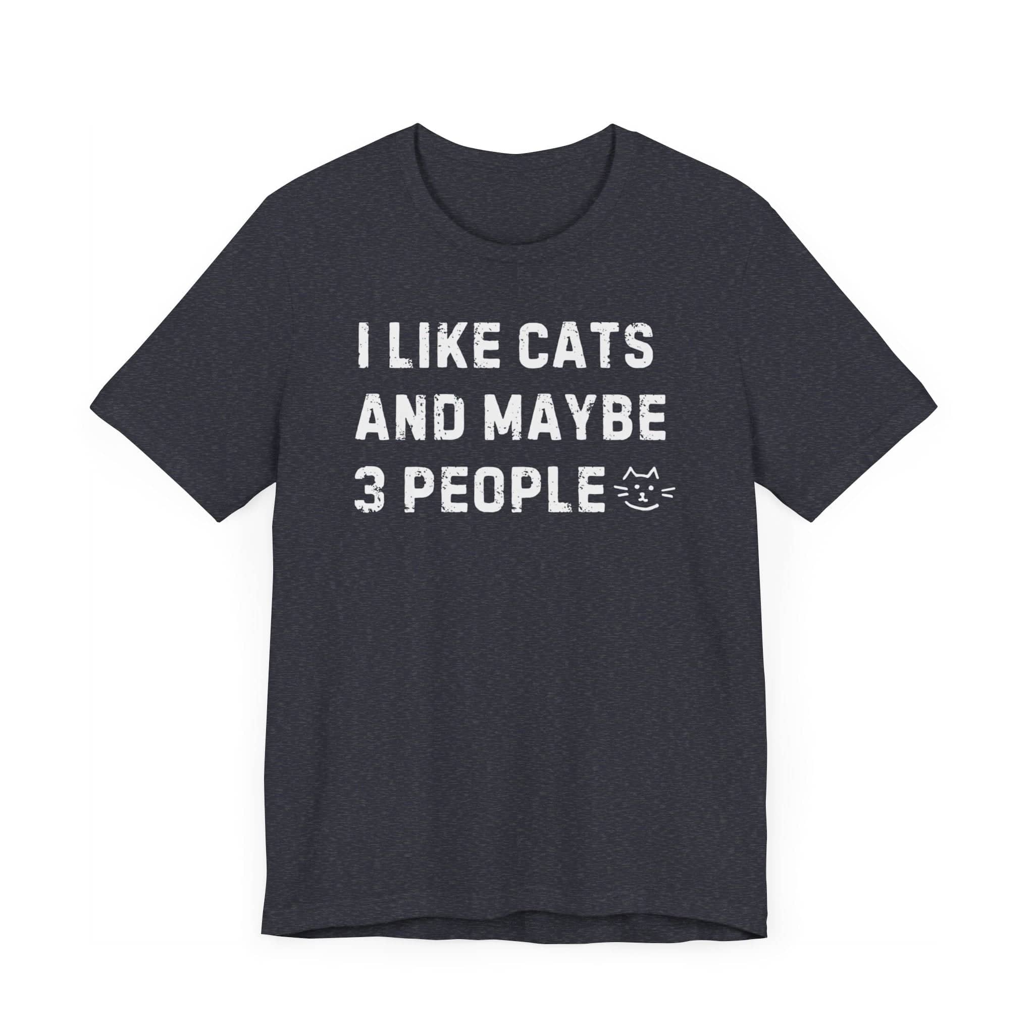 I Like Cats and Maybe 3 People Funny Tee