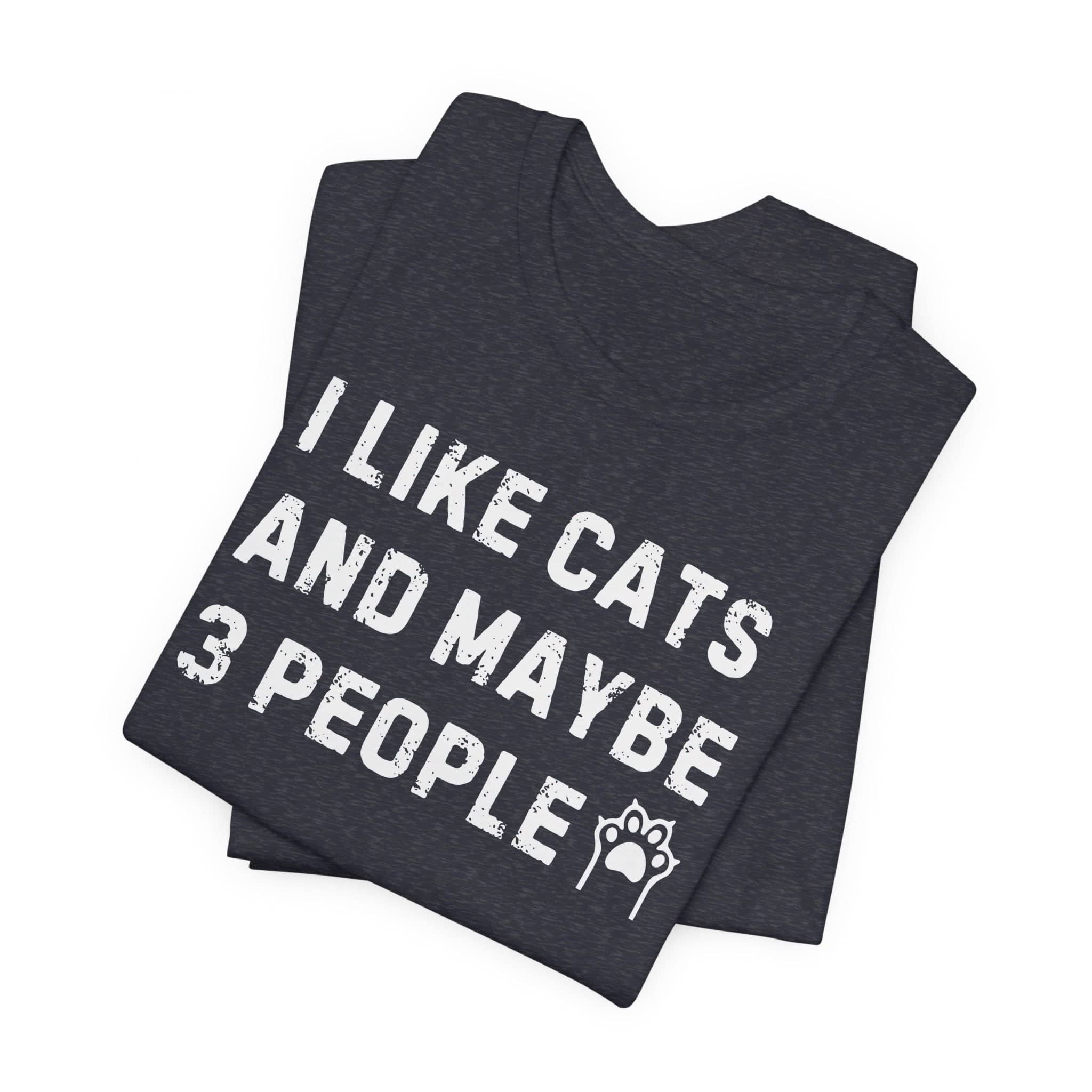 I Like Cats and Maybe 3 People T-Shirt