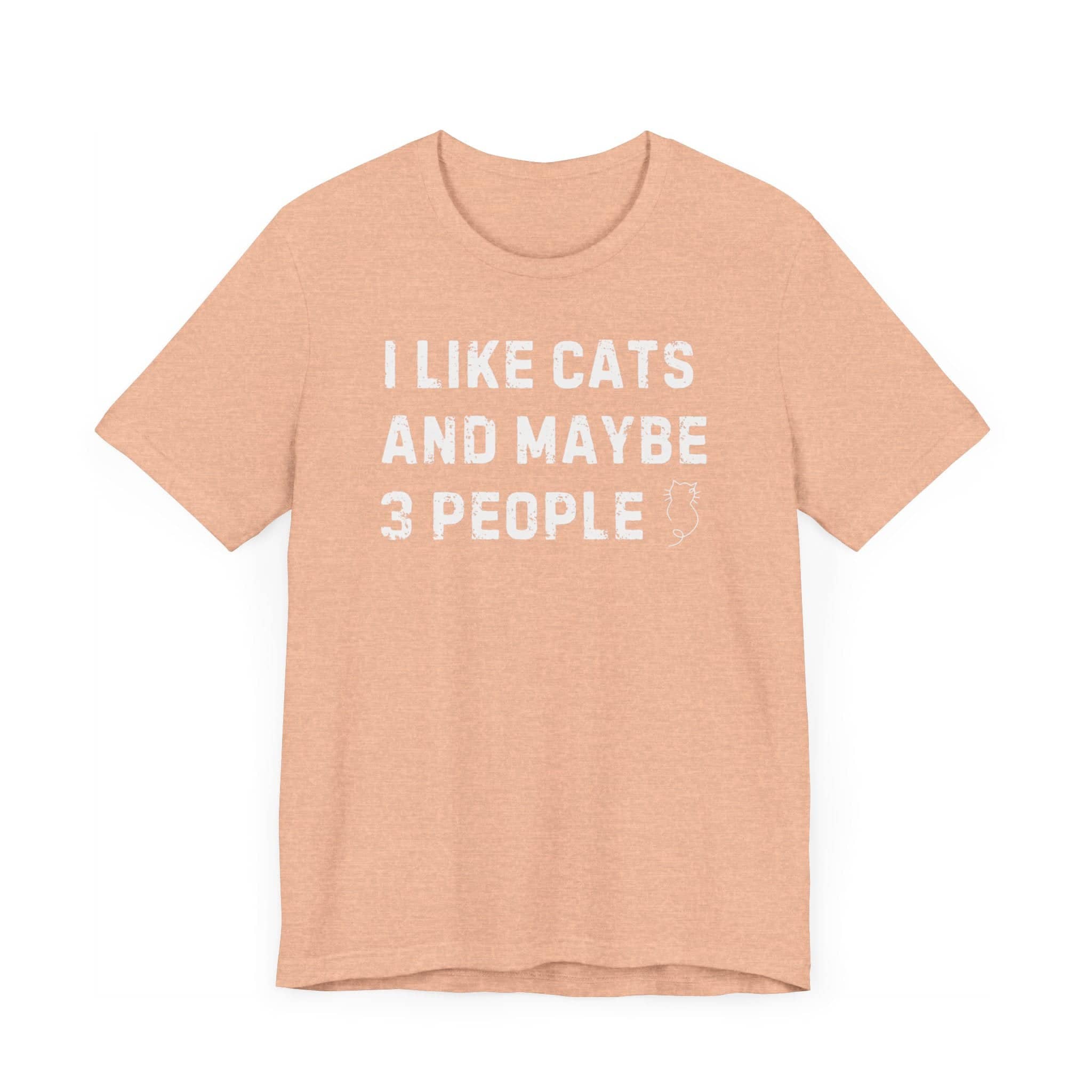 I Like Cats and Maybe 3 People T-Shirt