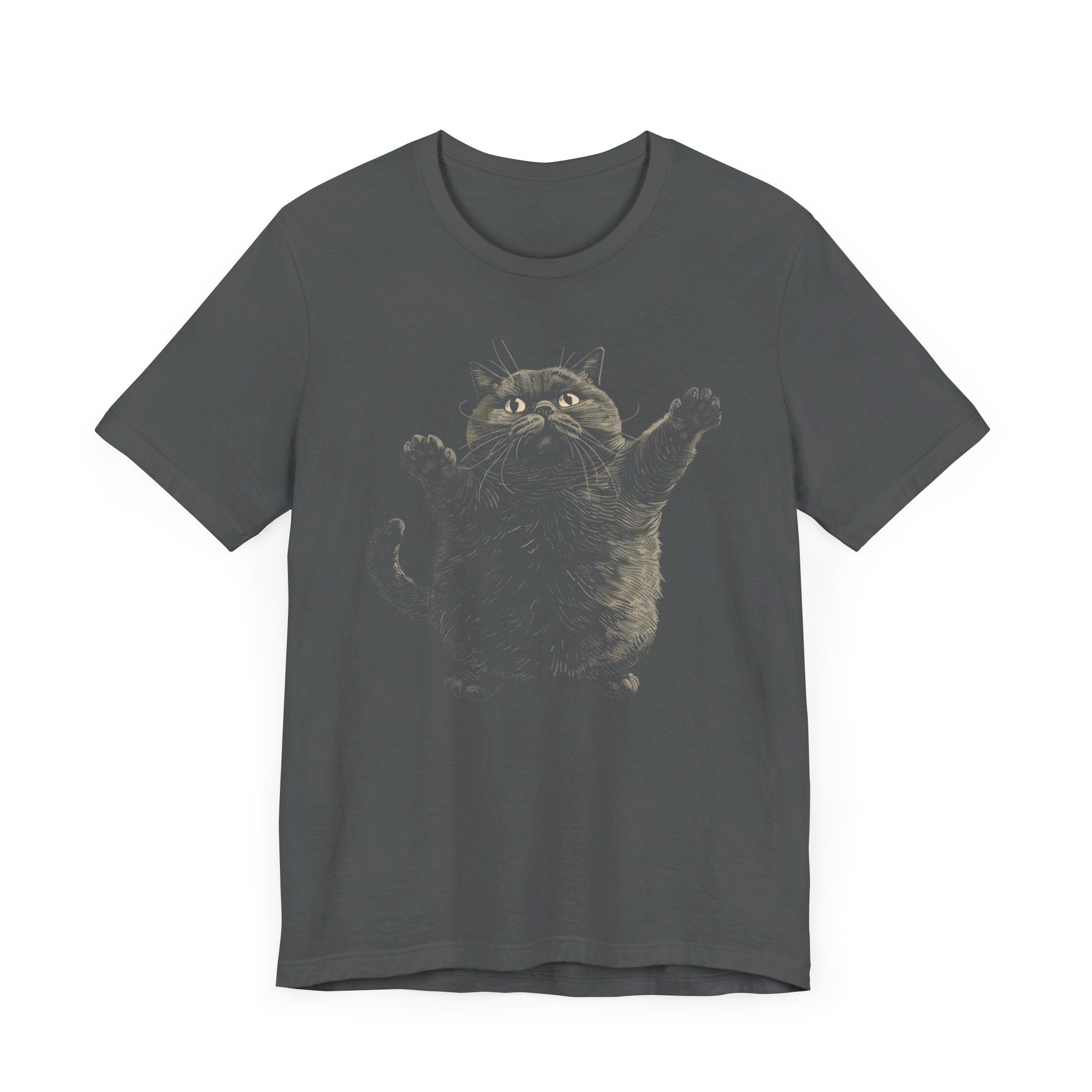 Chubby Cat Reaching for Hug T-Shirt Funny and Adorable Design