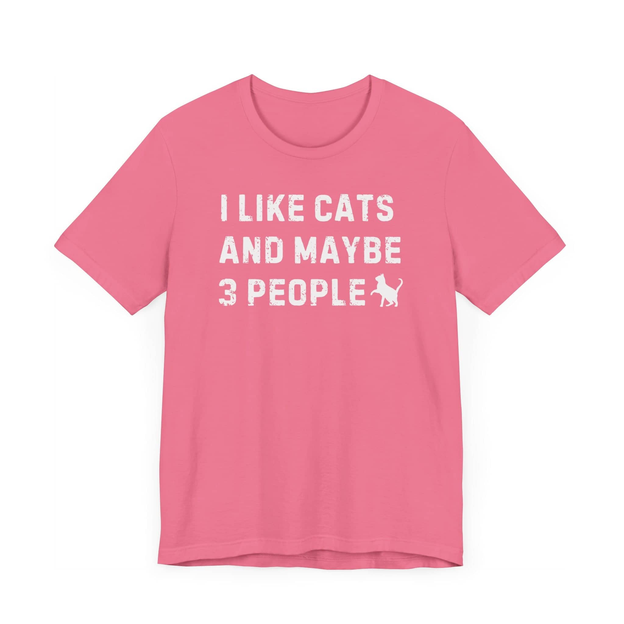 I Like Cats and Maybe 3 People T-Shirt