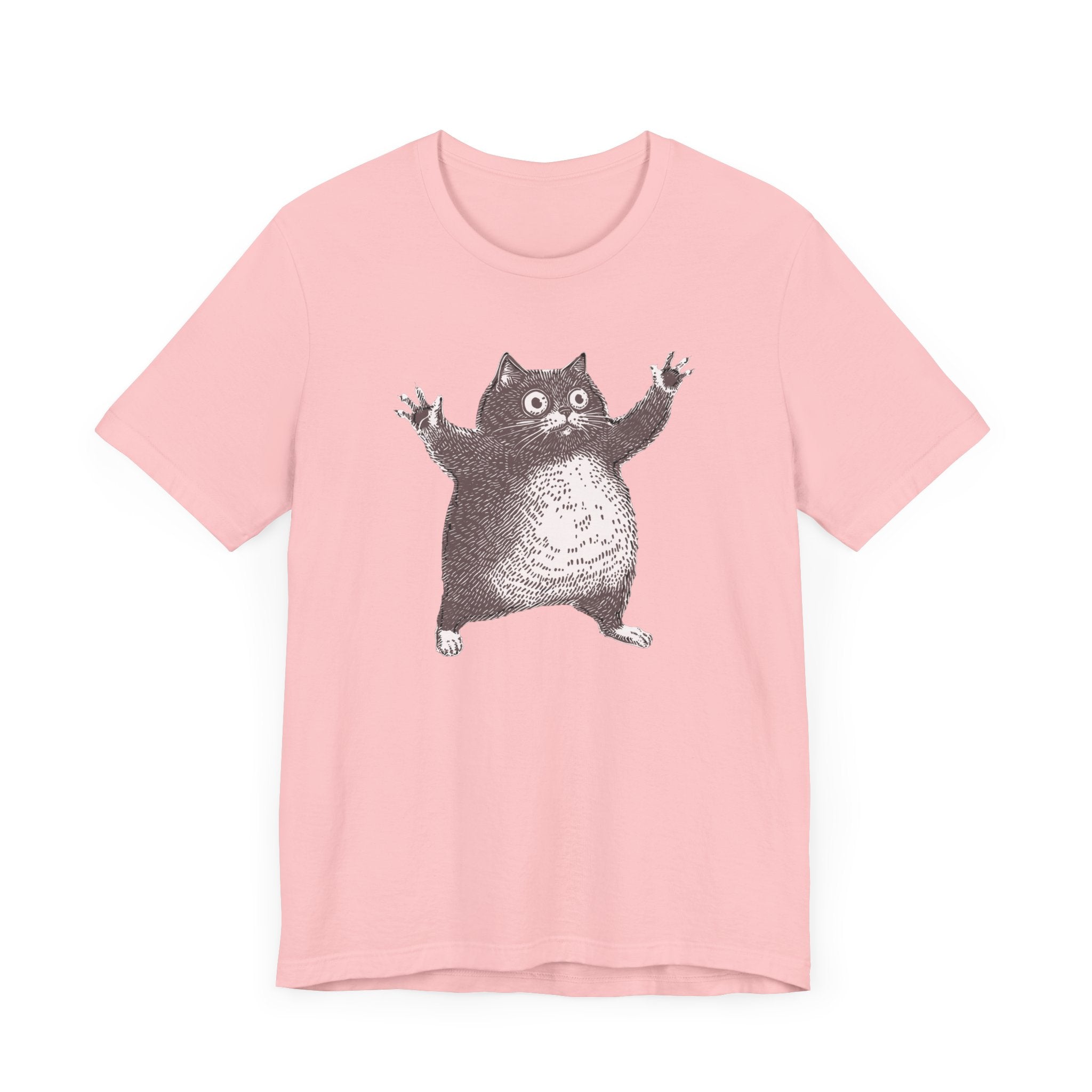 Hilarious Chonky Cat T-Shirt Vintage Funny Cat Graphic Tee