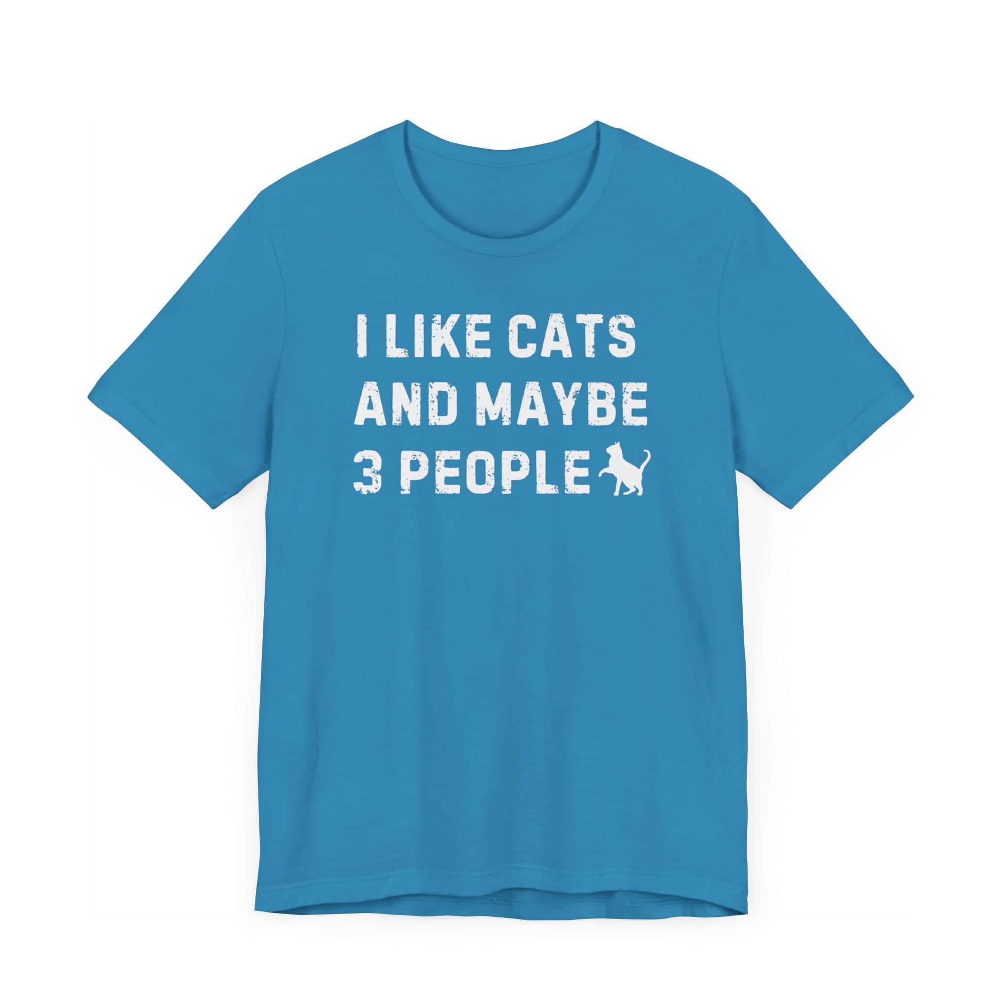 I Like Cats and Maybe 3 People T-Shirt