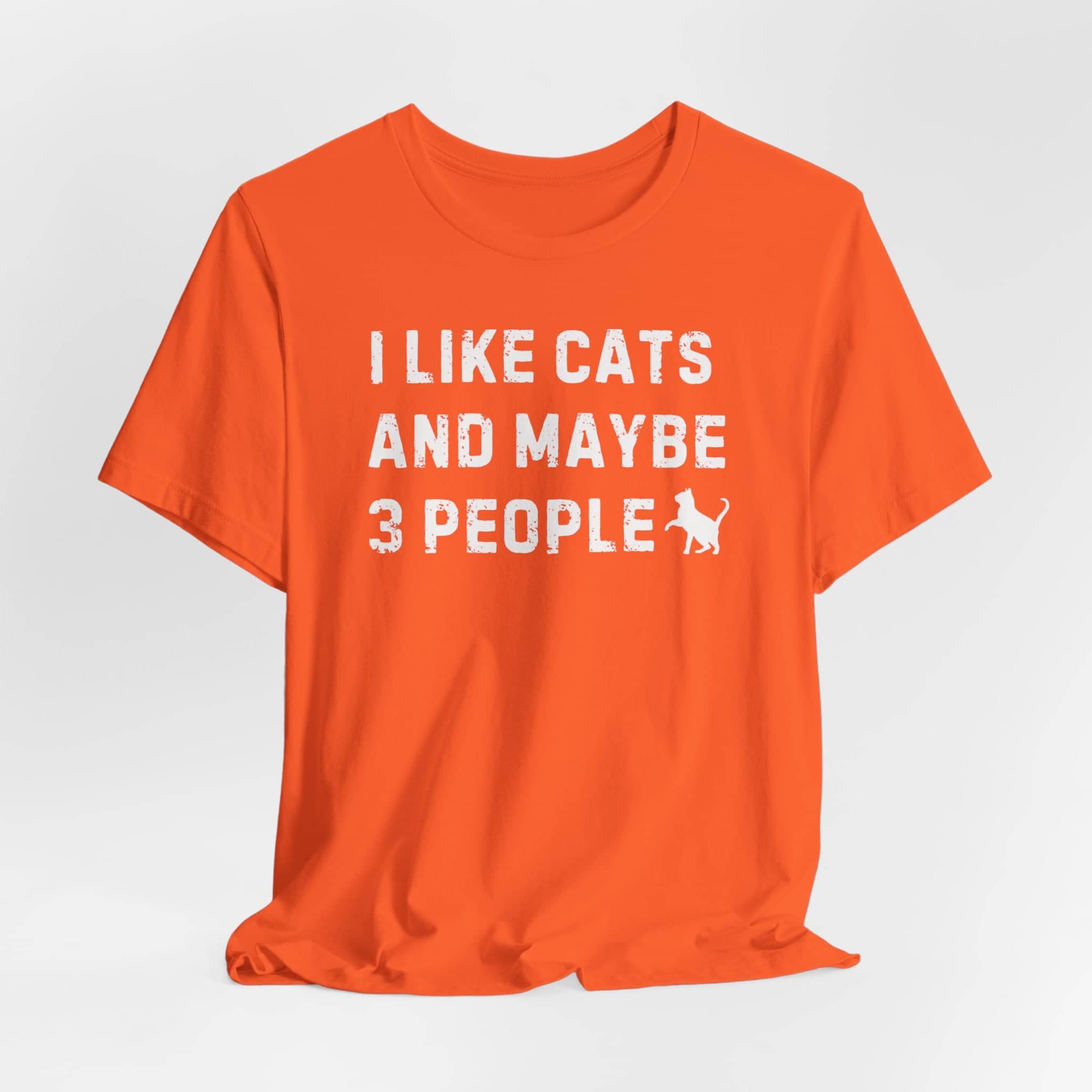 I Like Cats and Maybe 3 People T-Shirt