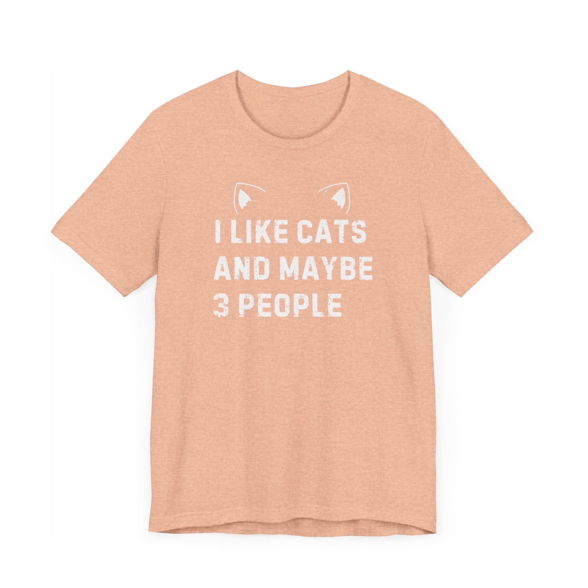 I Like Cats and Maybe 3 People T-Shirt