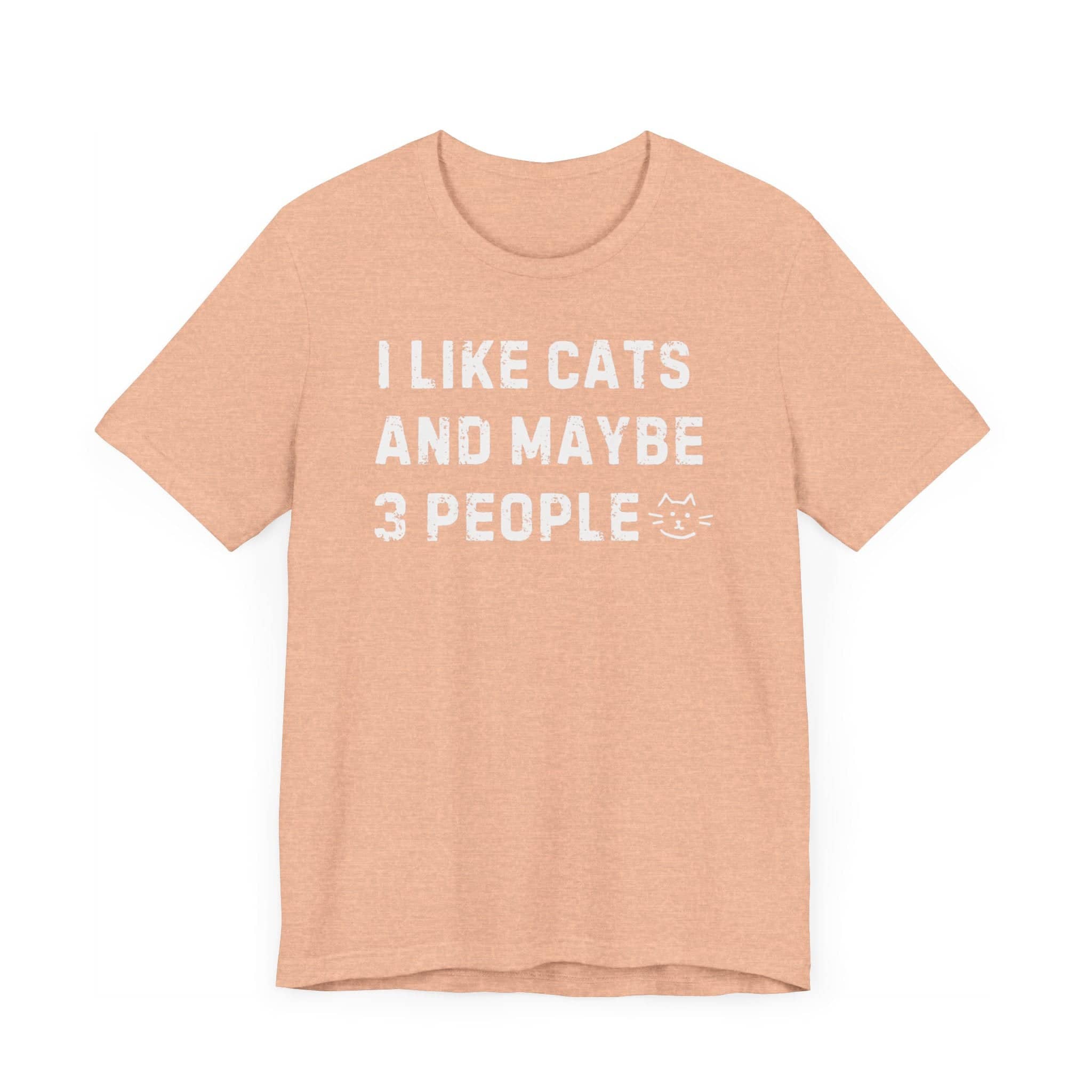 I Like Cats and Maybe 3 People Funny Tee