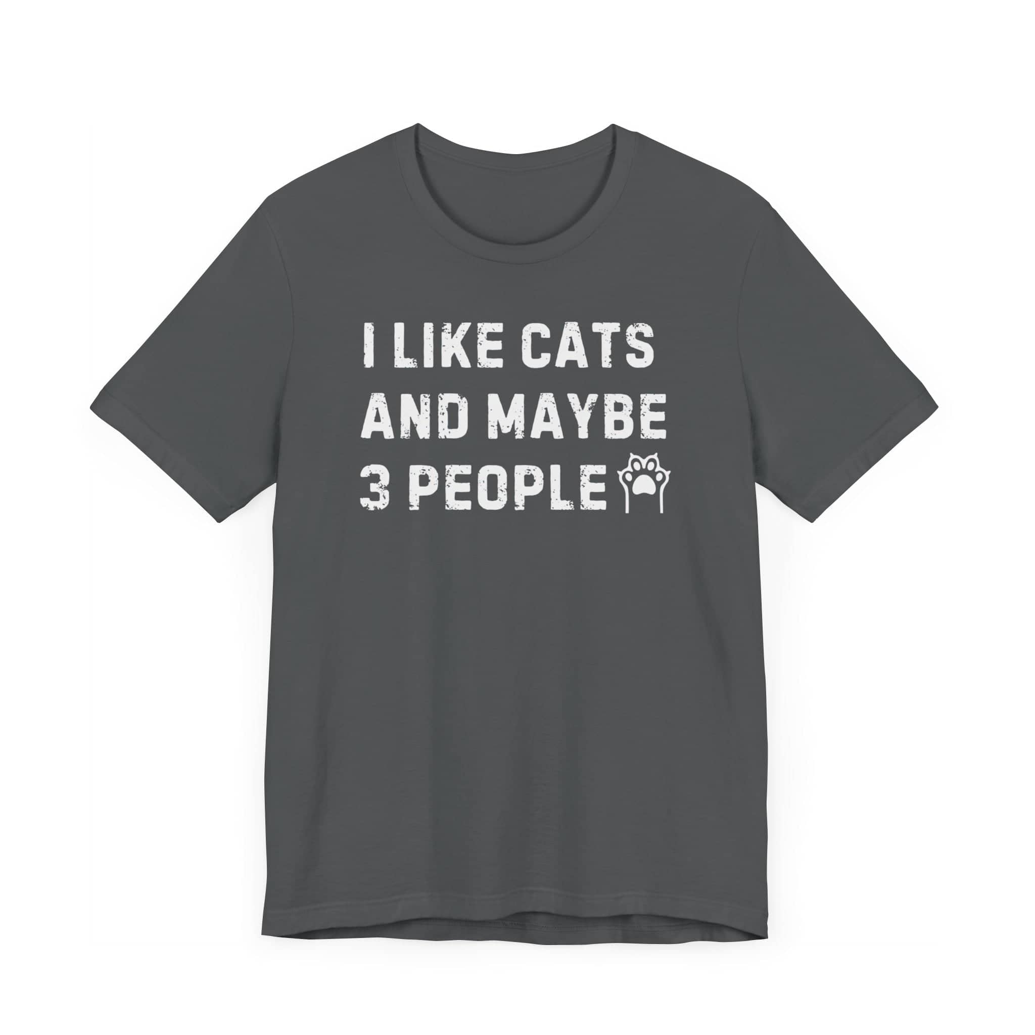 I Like Cats and Maybe 3 People T-Shirt