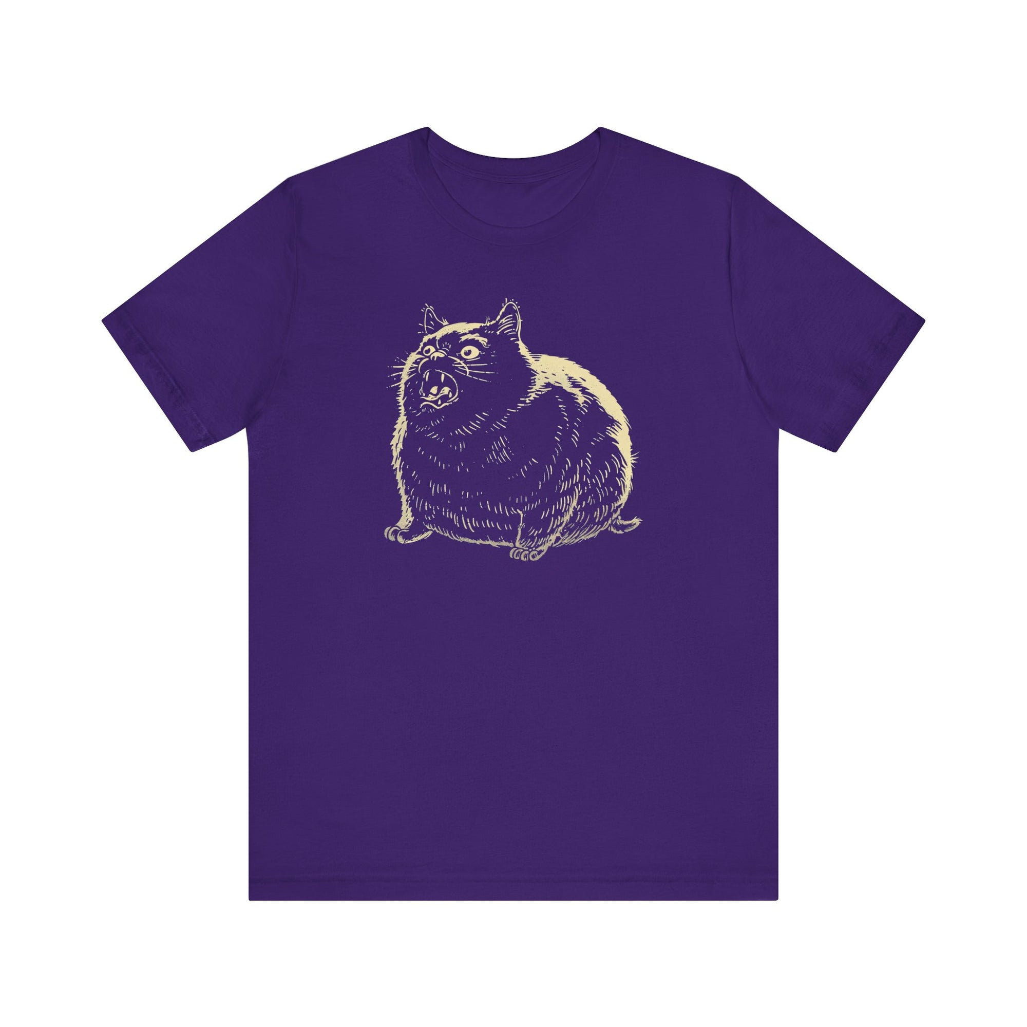 Angry Cat Stripe Application Velour Sweatshirt main image 1