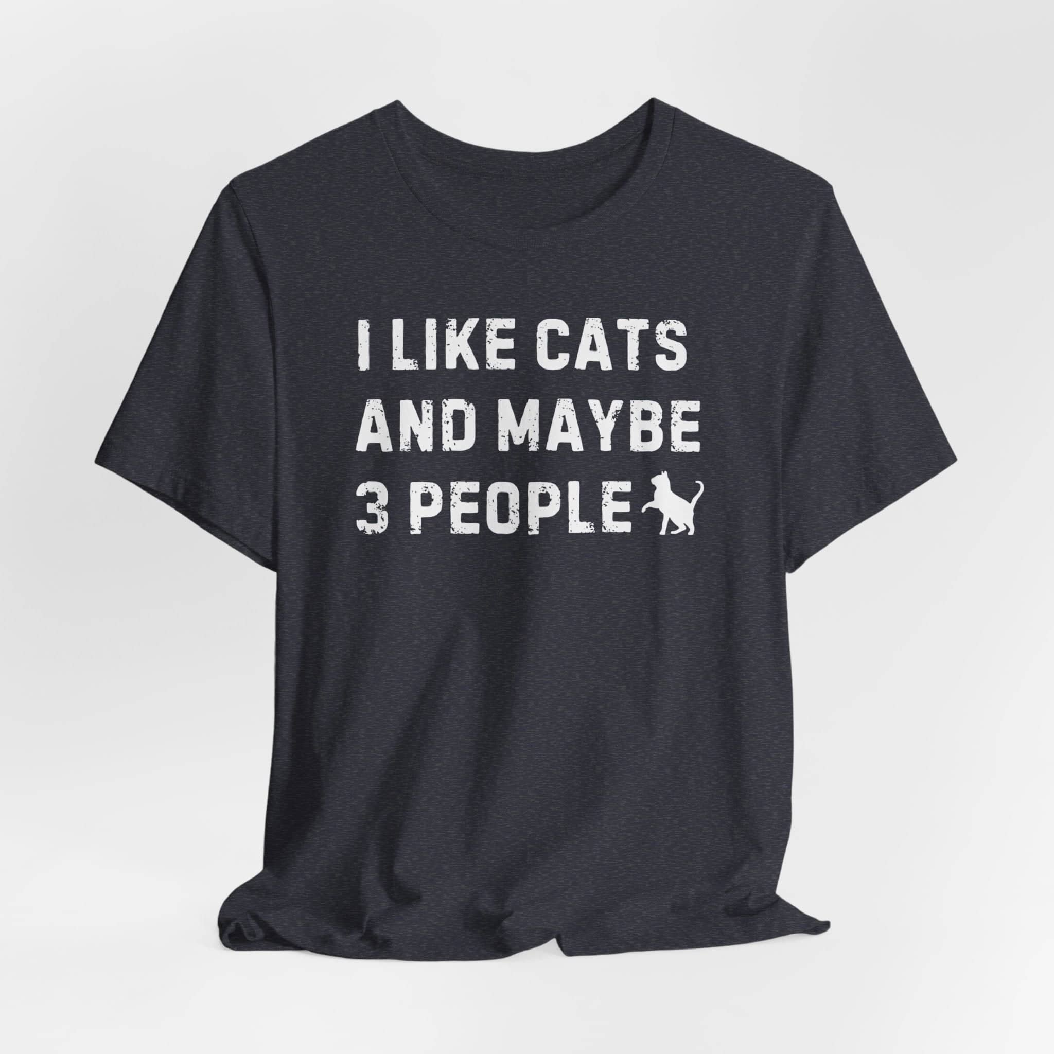 I Like Cats and Maybe 3 People T-Shirt