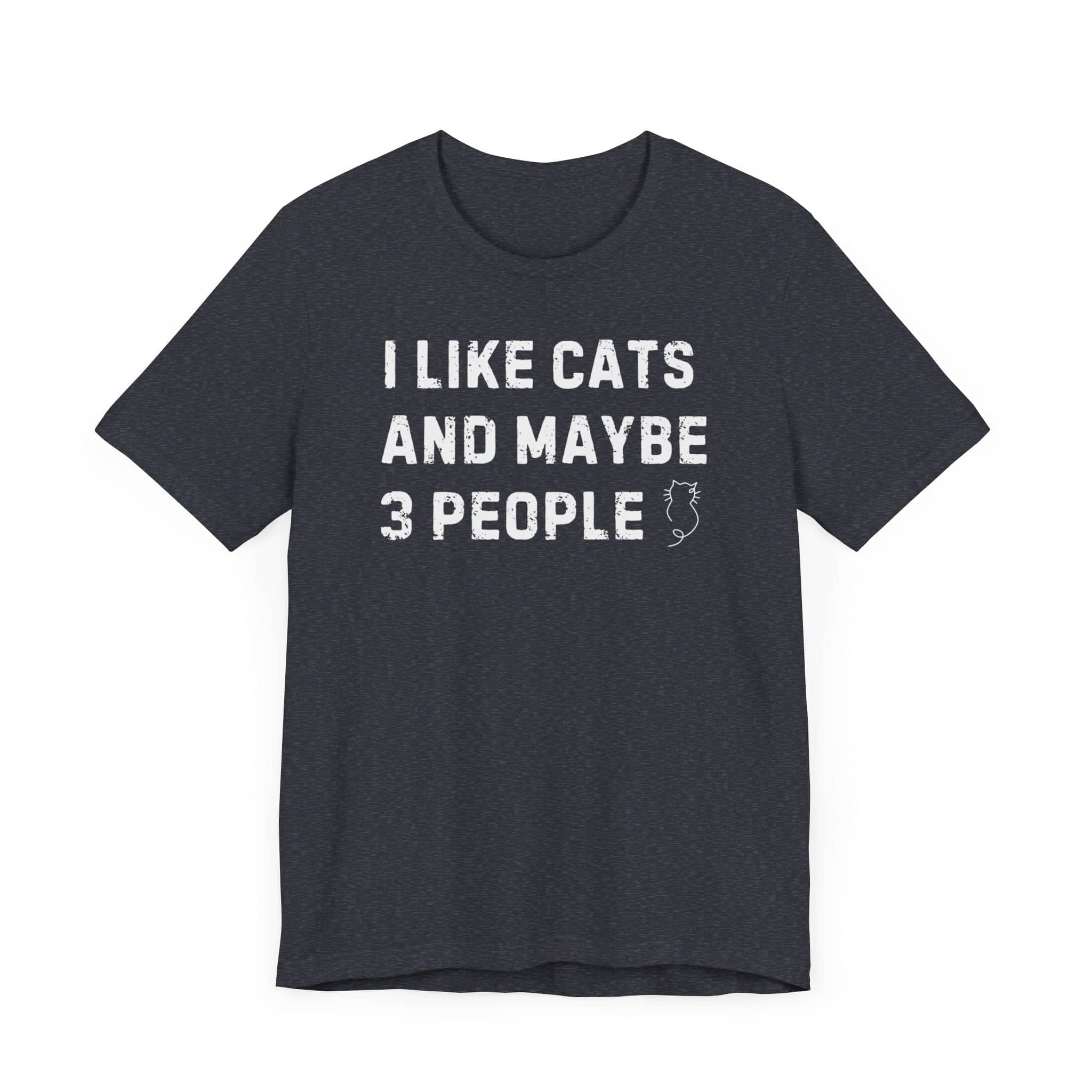 I Like Cats and Maybe 3 People T-Shirt