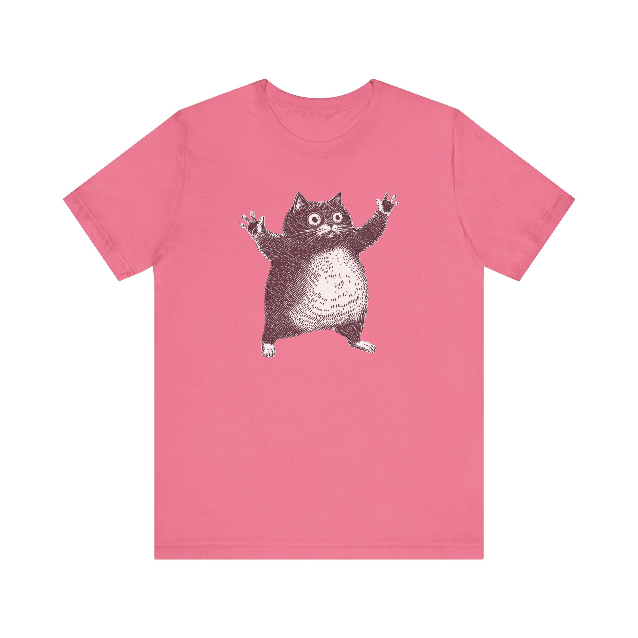 Hilarious Chonky Cat T-Shirt Vintage Funny Cat Graphic Tee