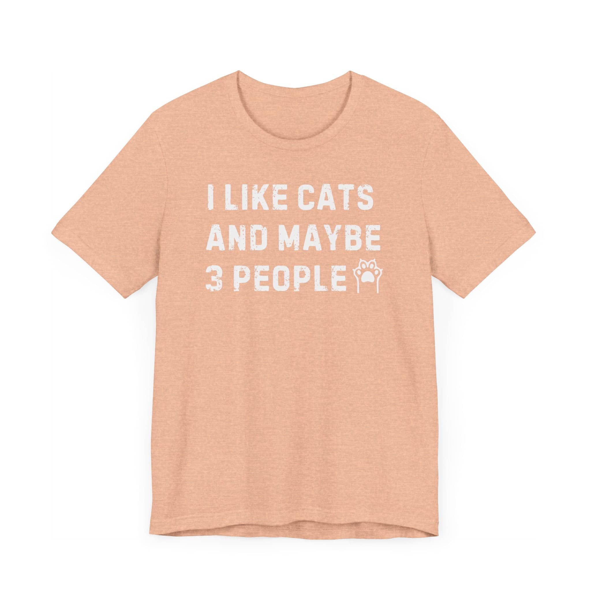 I Like Cats and Maybe 3 People T-Shirt