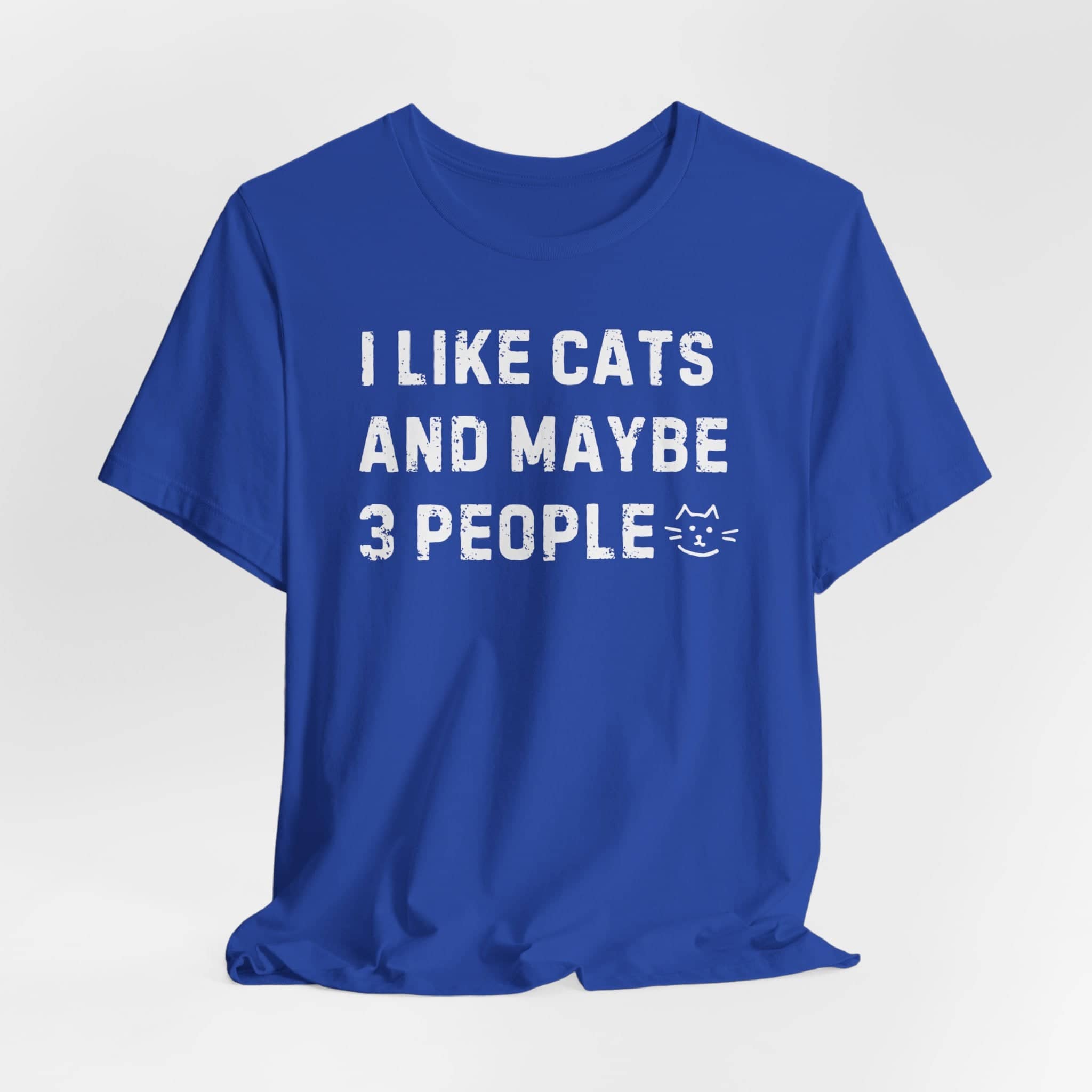 I Like Cats and Maybe 3 People Funny Tee