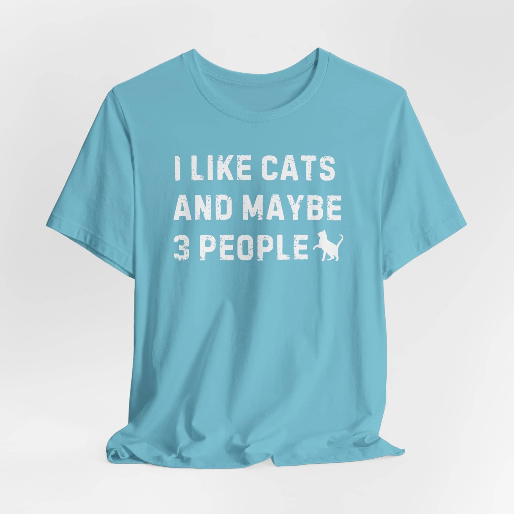 I Like Cats and Maybe 3 People T-Shirt