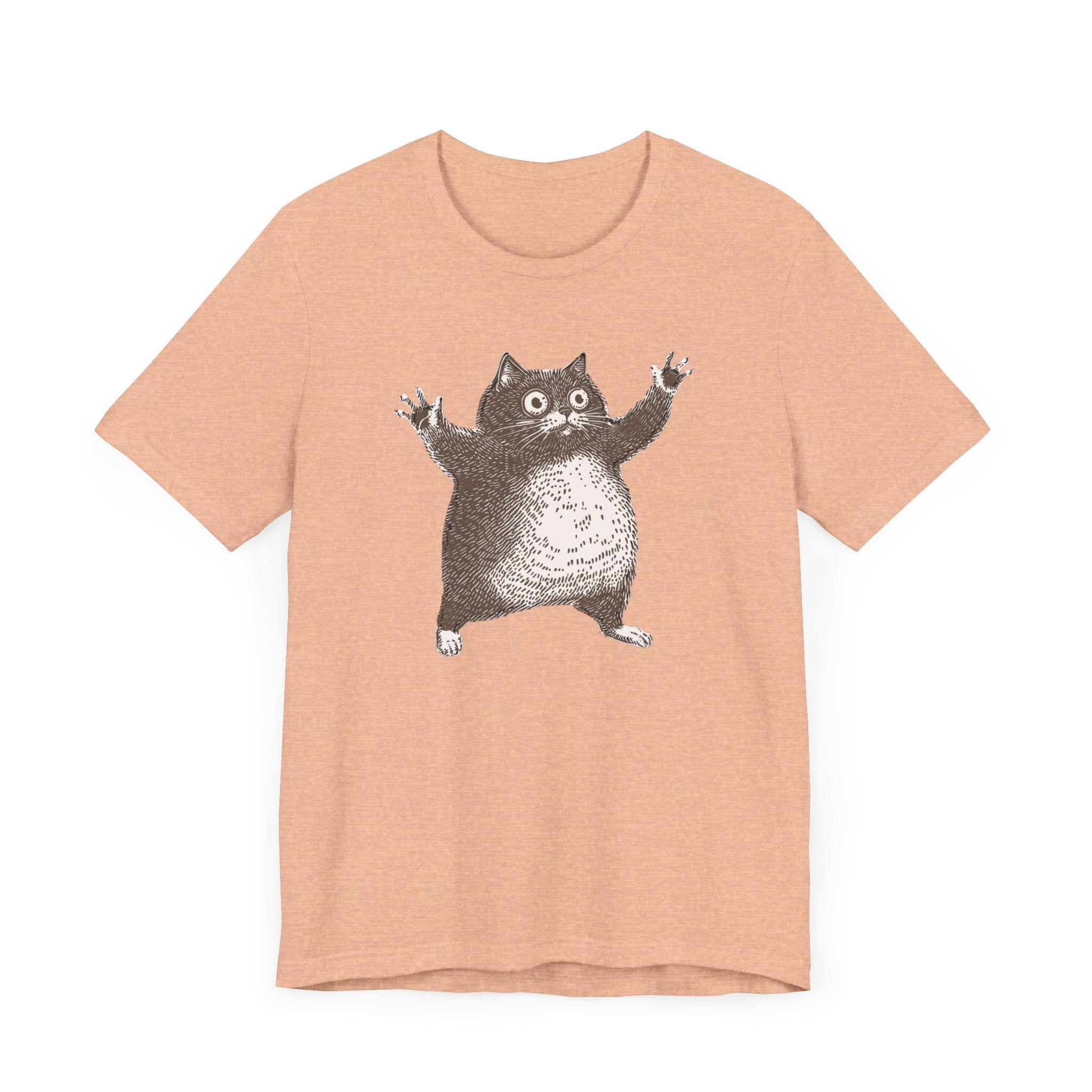 Hilarious Chonky Cat T-Shirt Vintage Funny Cat Graphic Tee