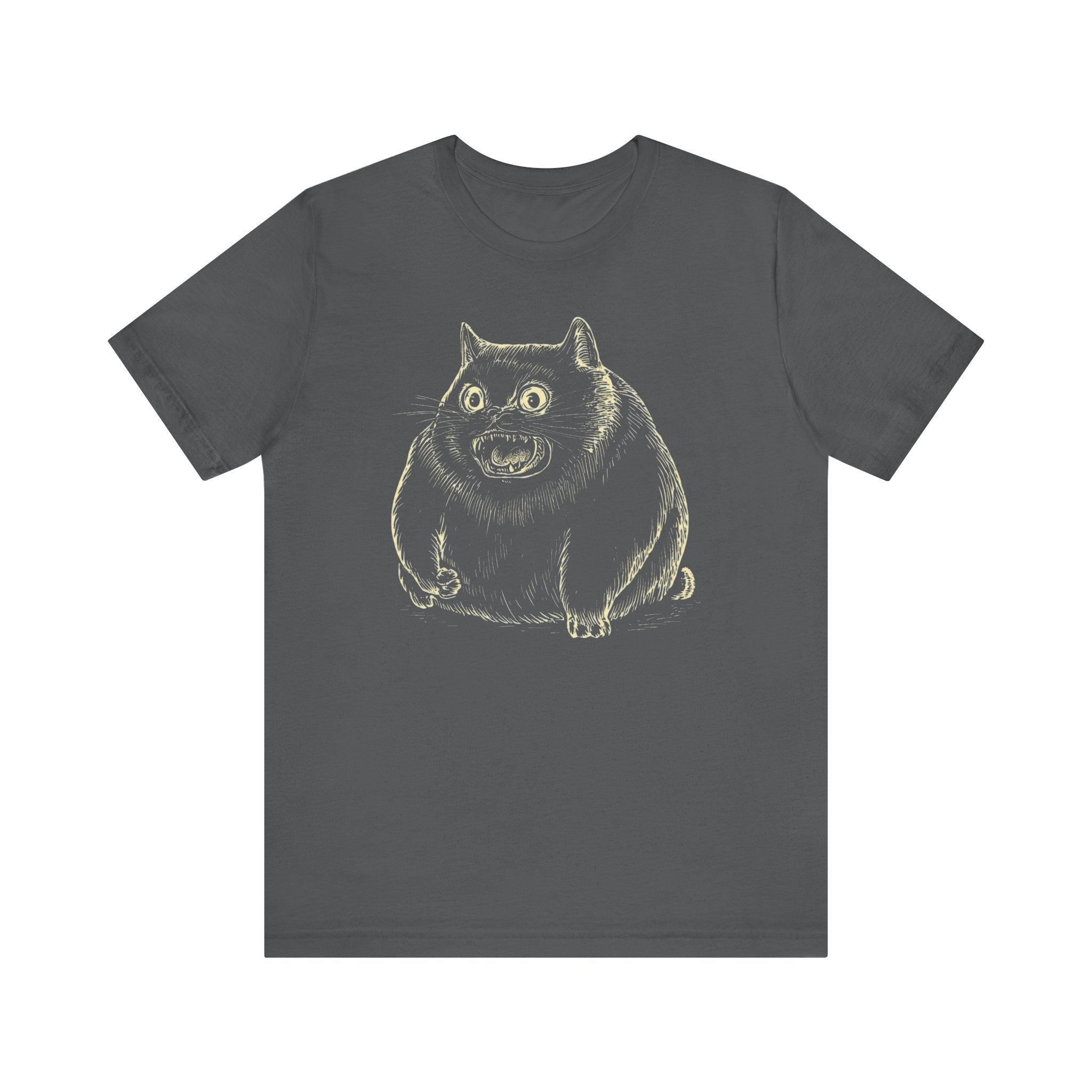 Furious Chonky Cat T-Shirt Funny and Quirky Design