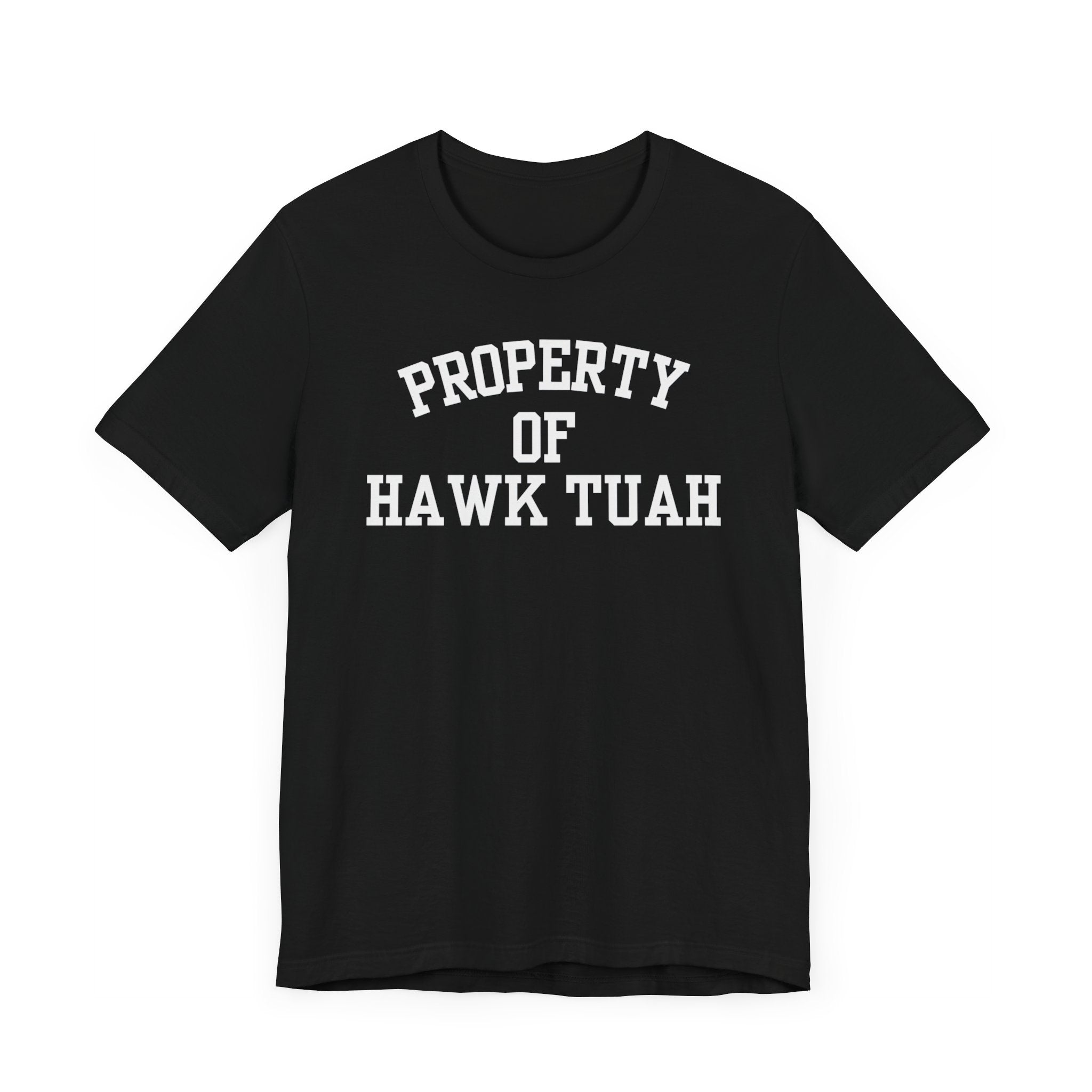 Property of Hawk Tuah T-Shirt
