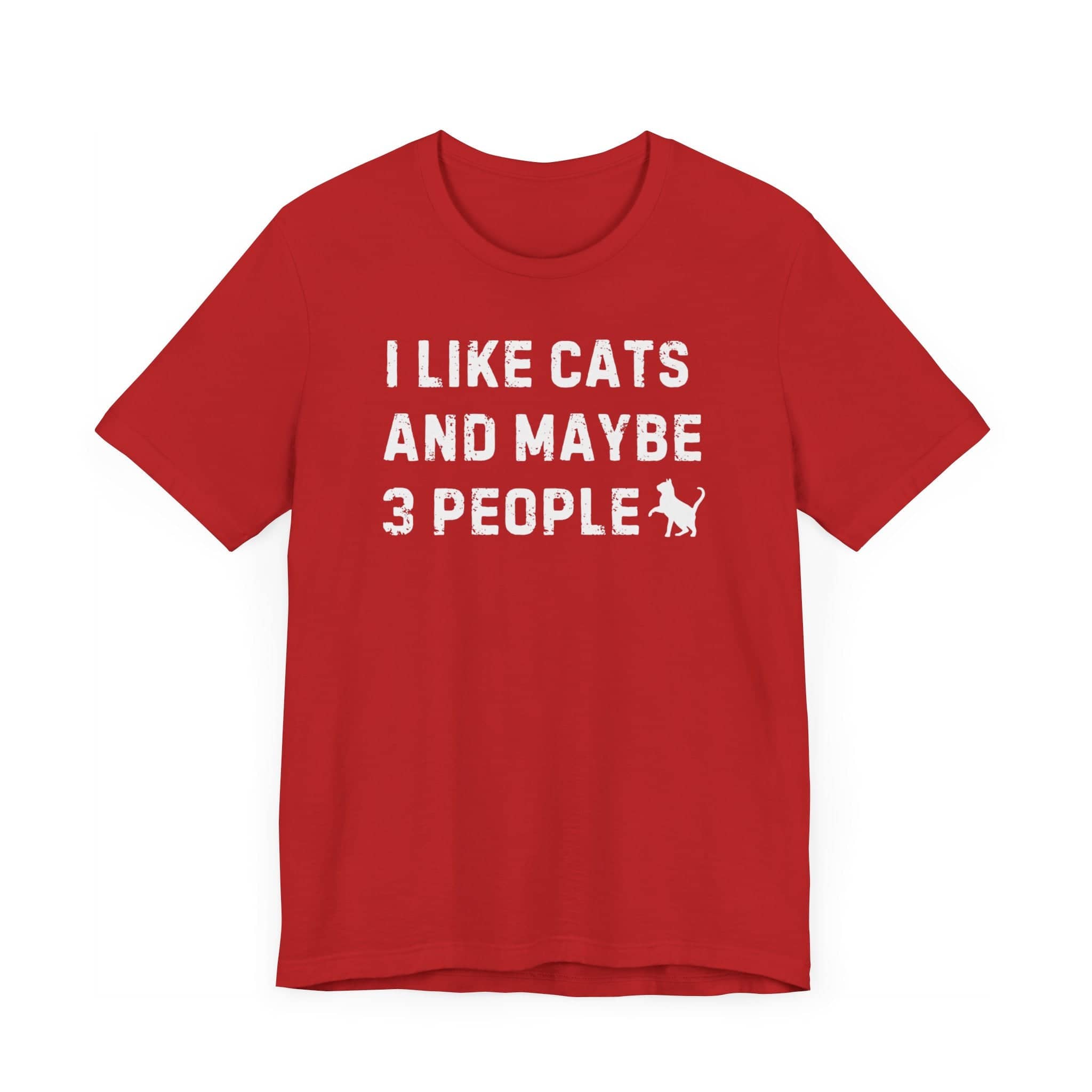 I Like Cats and Maybe 3 People T-Shirt