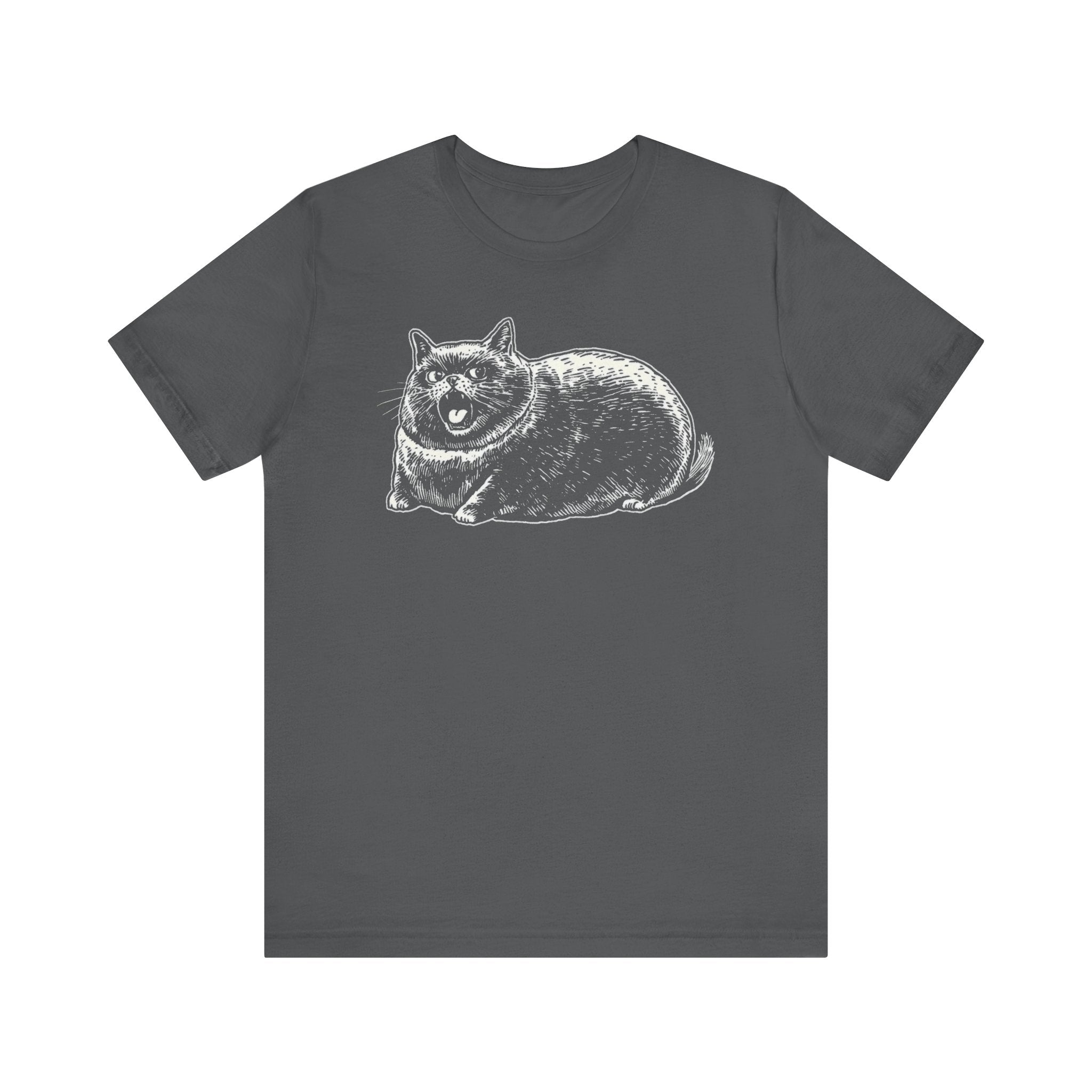 Grumpy Chonky Cat T-Shirt Funny and Quirky Design